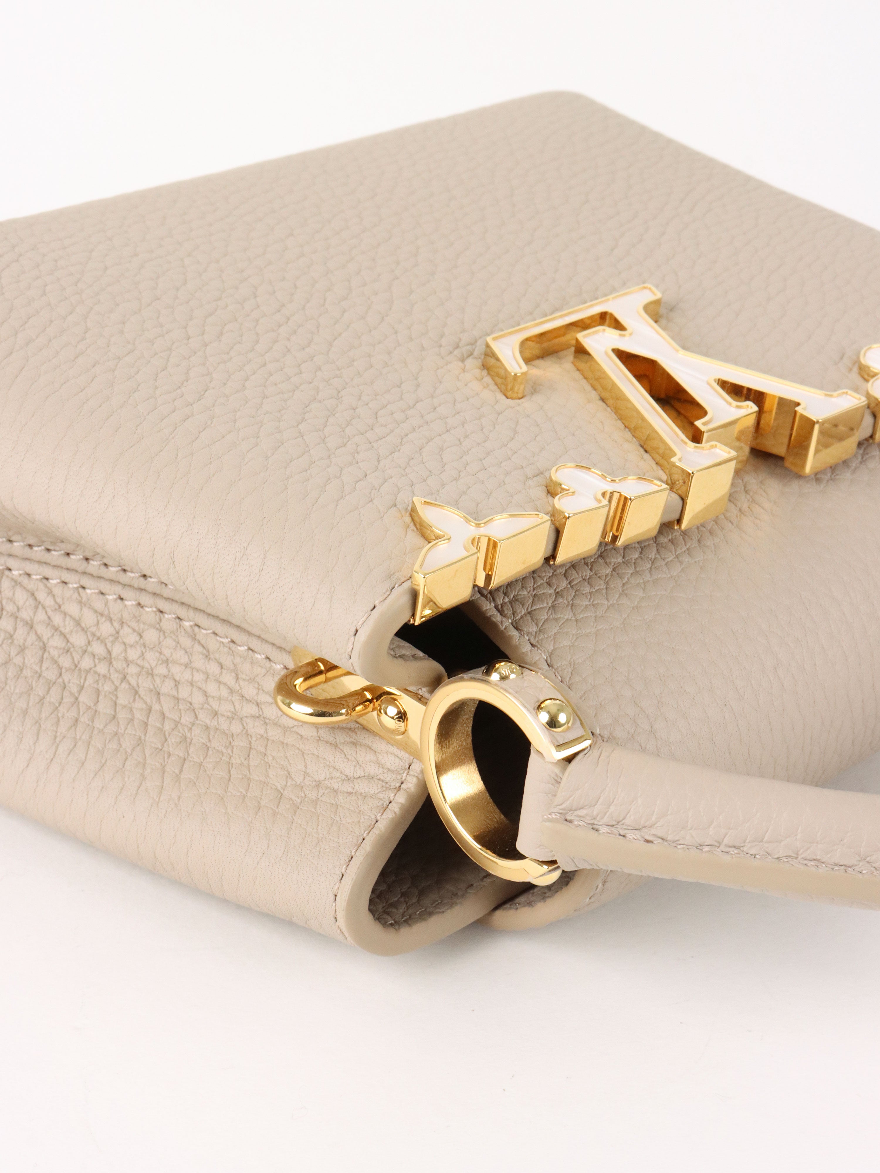 Louis Vuitton Galet Mini Capucines