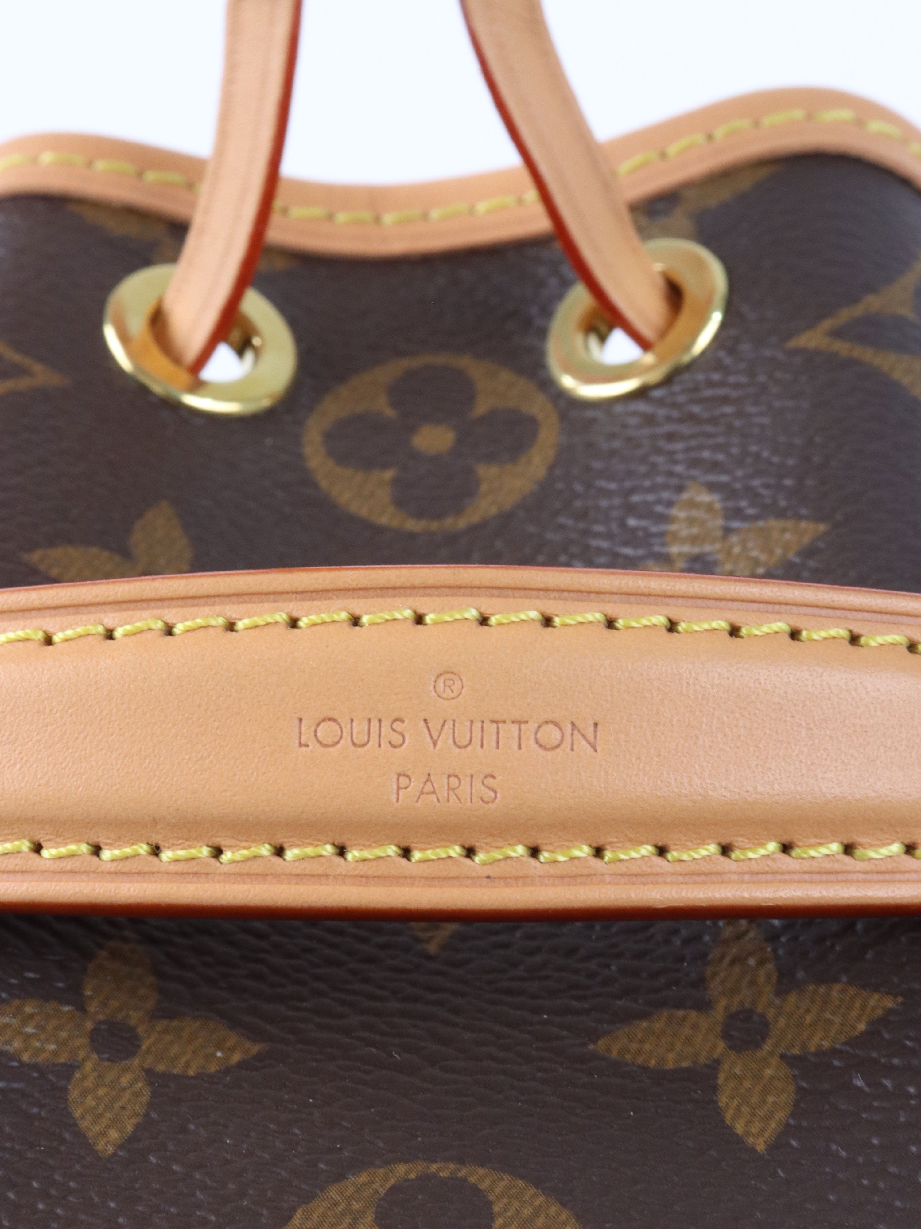 Louis Vuitton Monogram Nano Noé Bag.