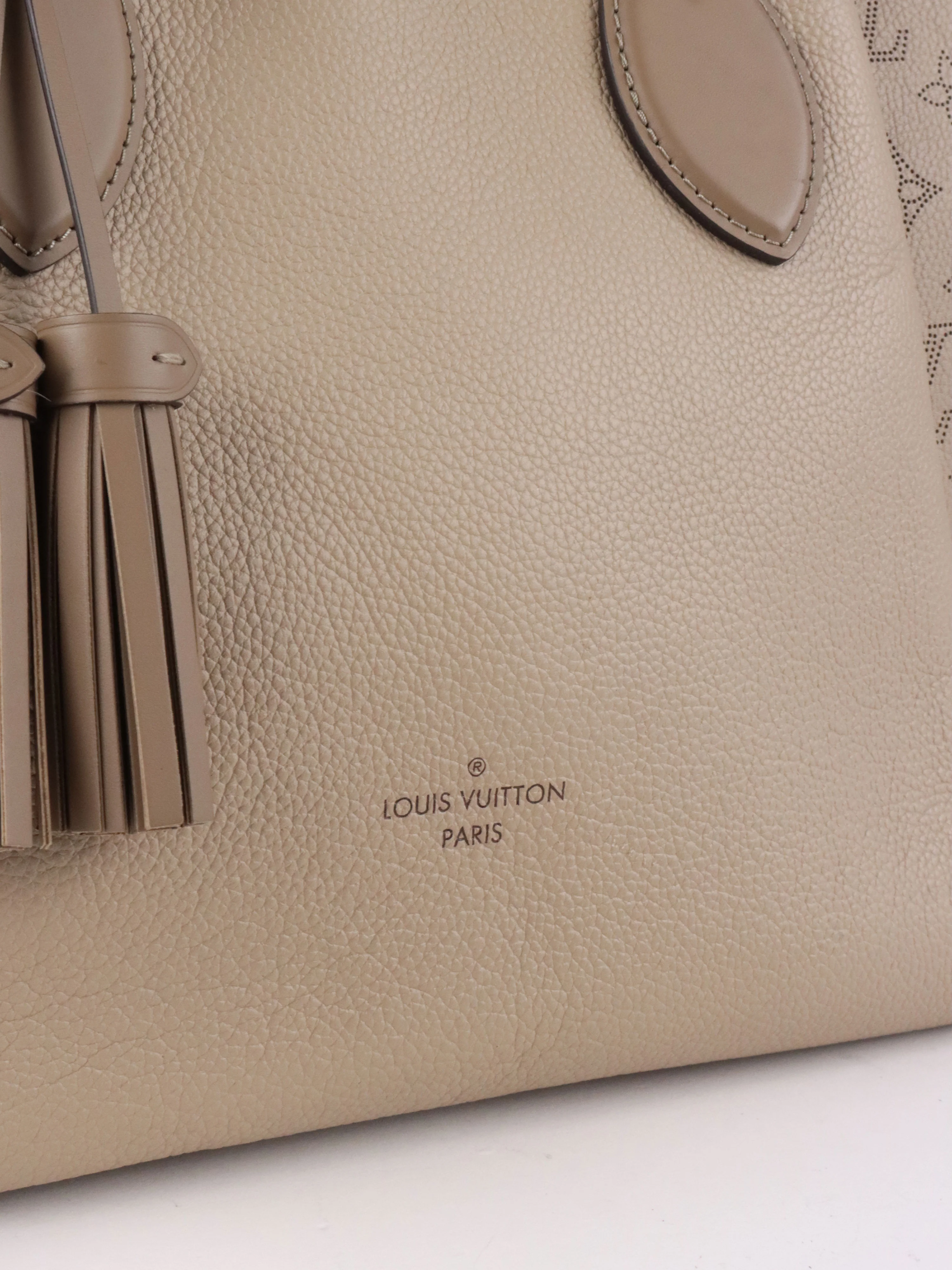 Louis Vuitton Galet Mahina Haumea Bag