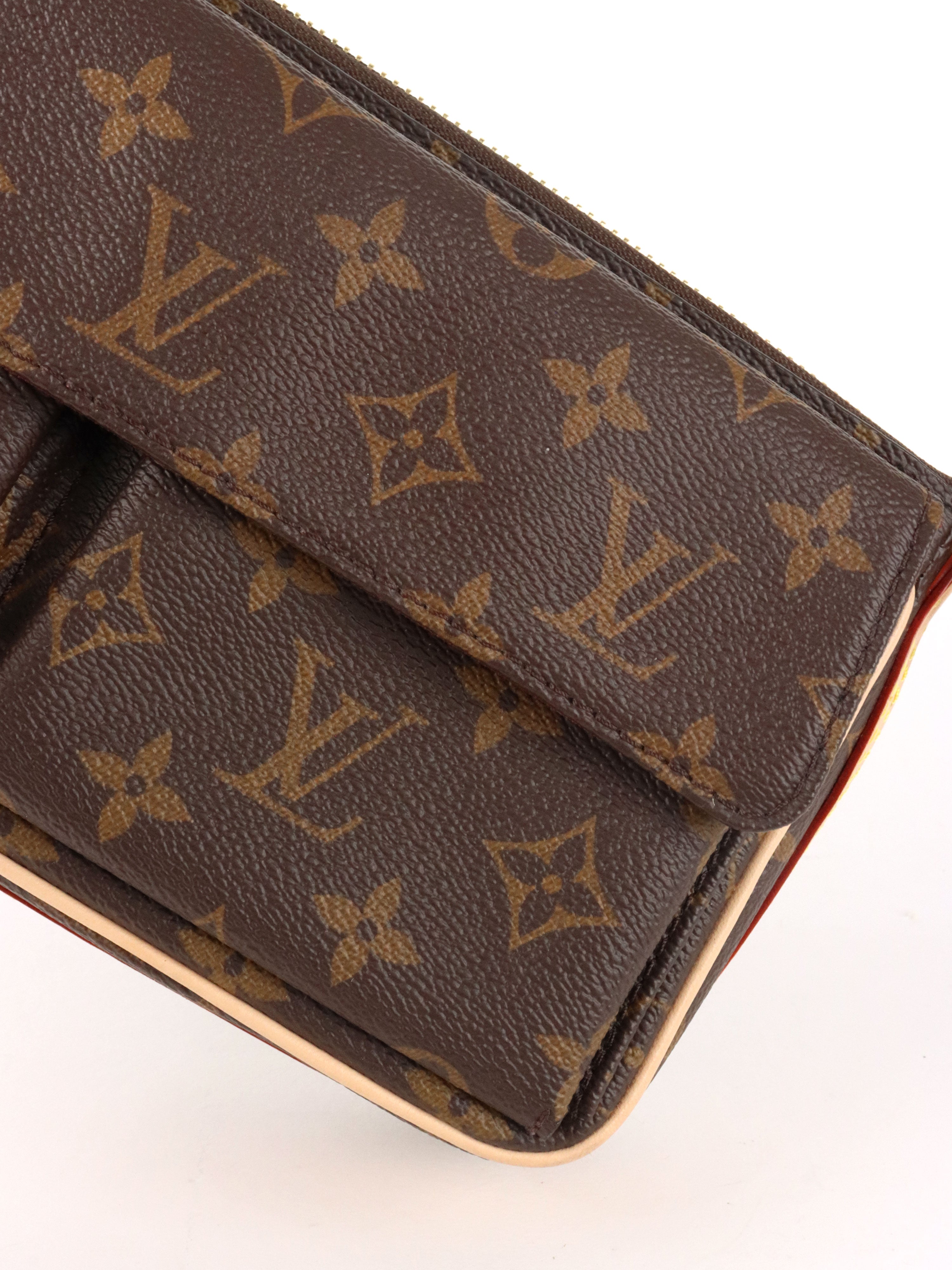 Louis Vuitton Monogram Vivacité Bag