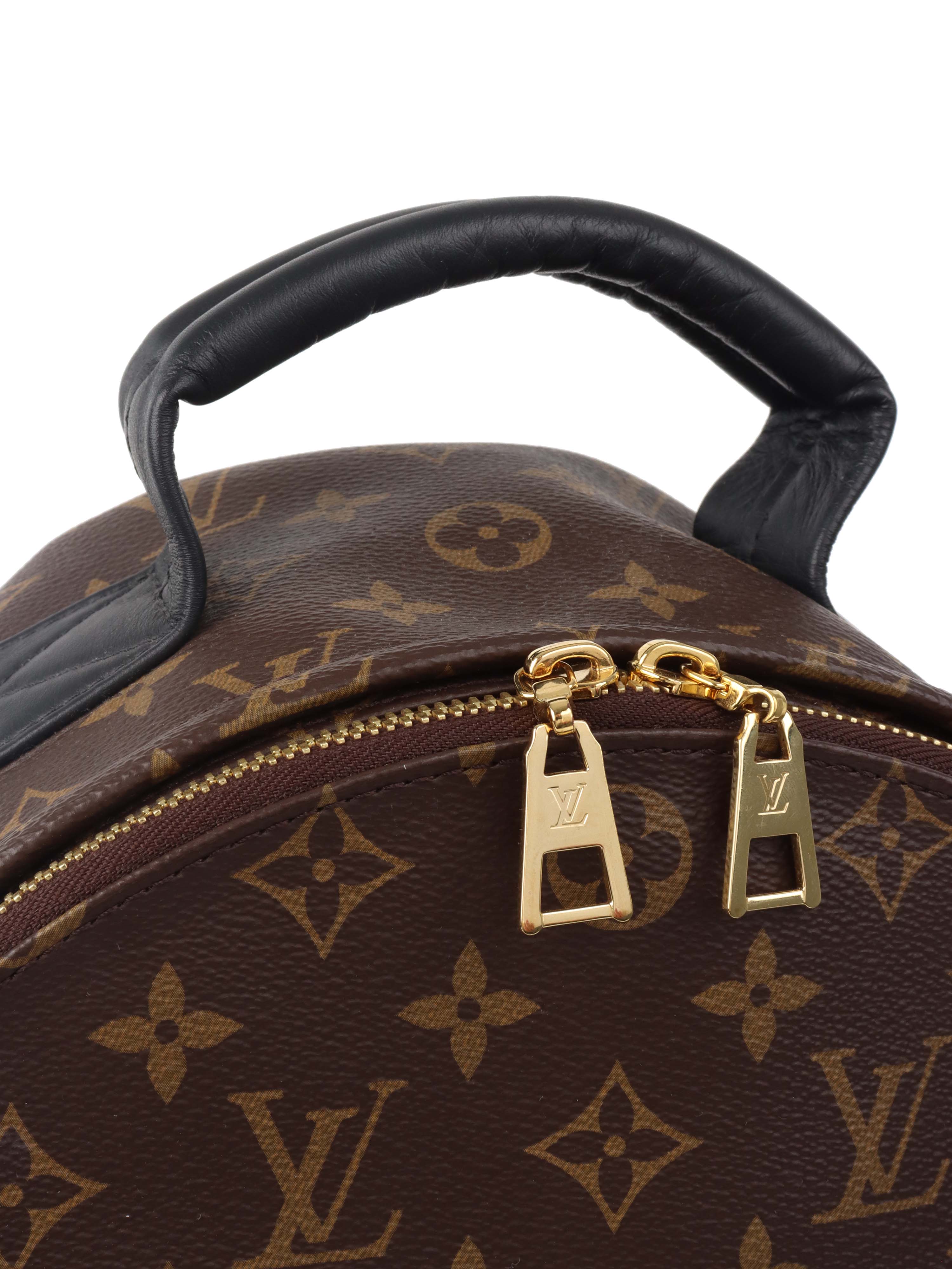 Louis Vuitton Palm Spring MM Backpack.