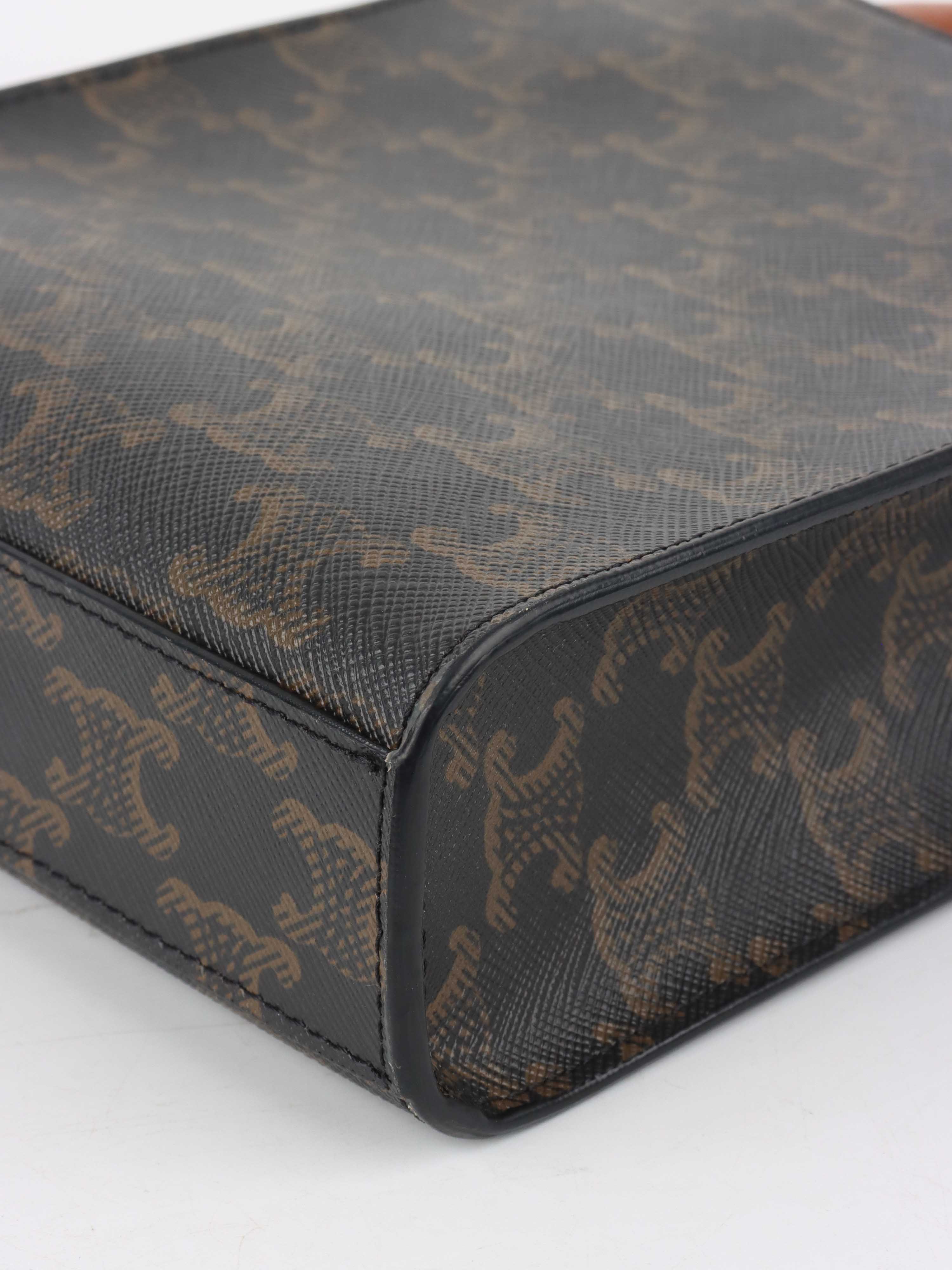 Celine Mini Vertical Cabas in Triomphe Canvas with Celine Print.