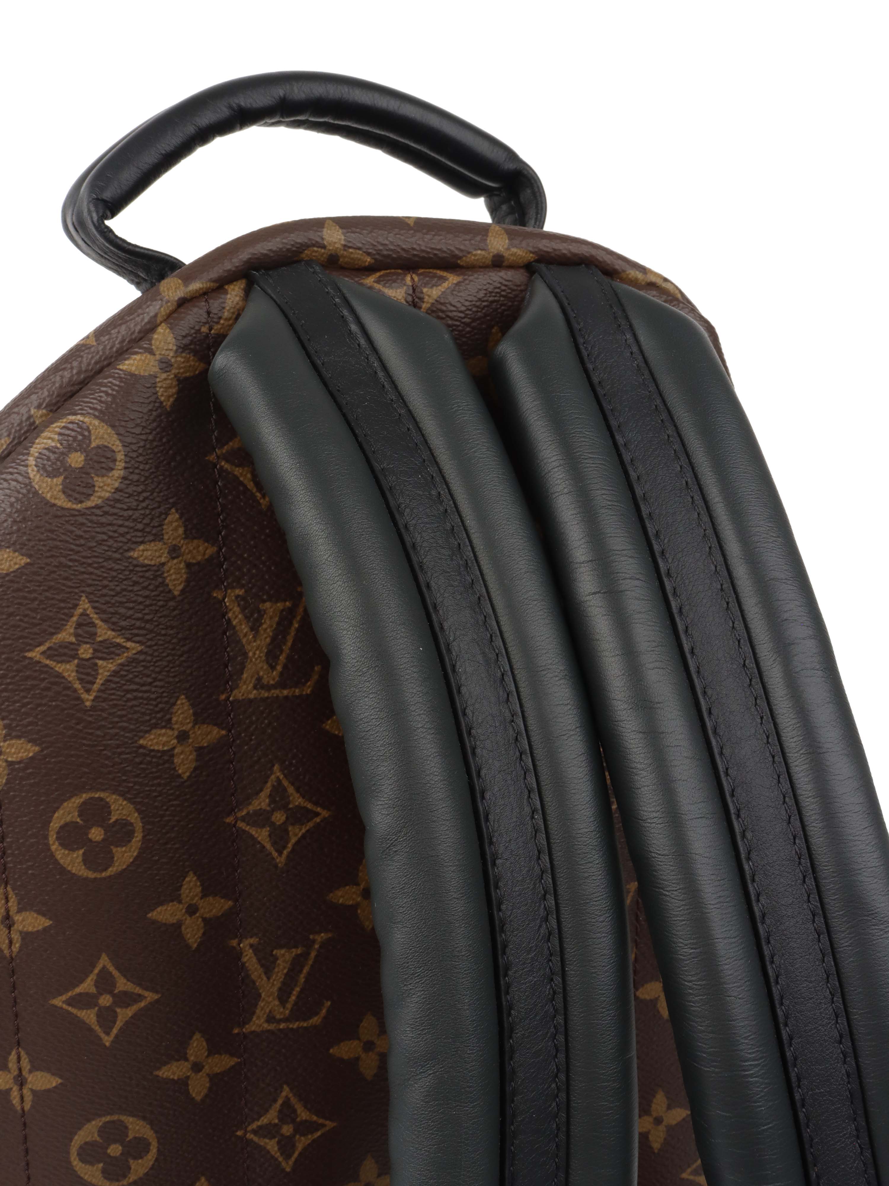 Louis Vuitton Palm Spring MM Backpack.