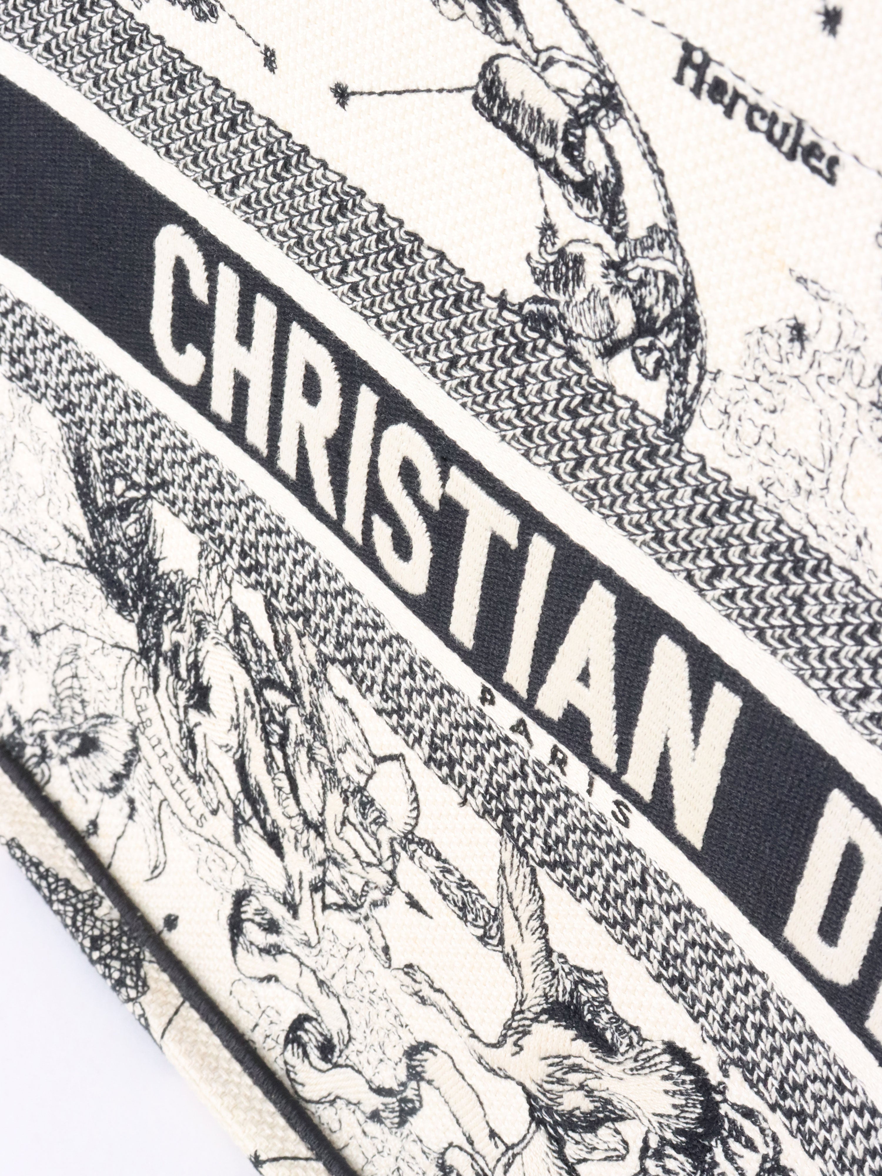 Dior Latte and Black Zodiac Medium Book Tote