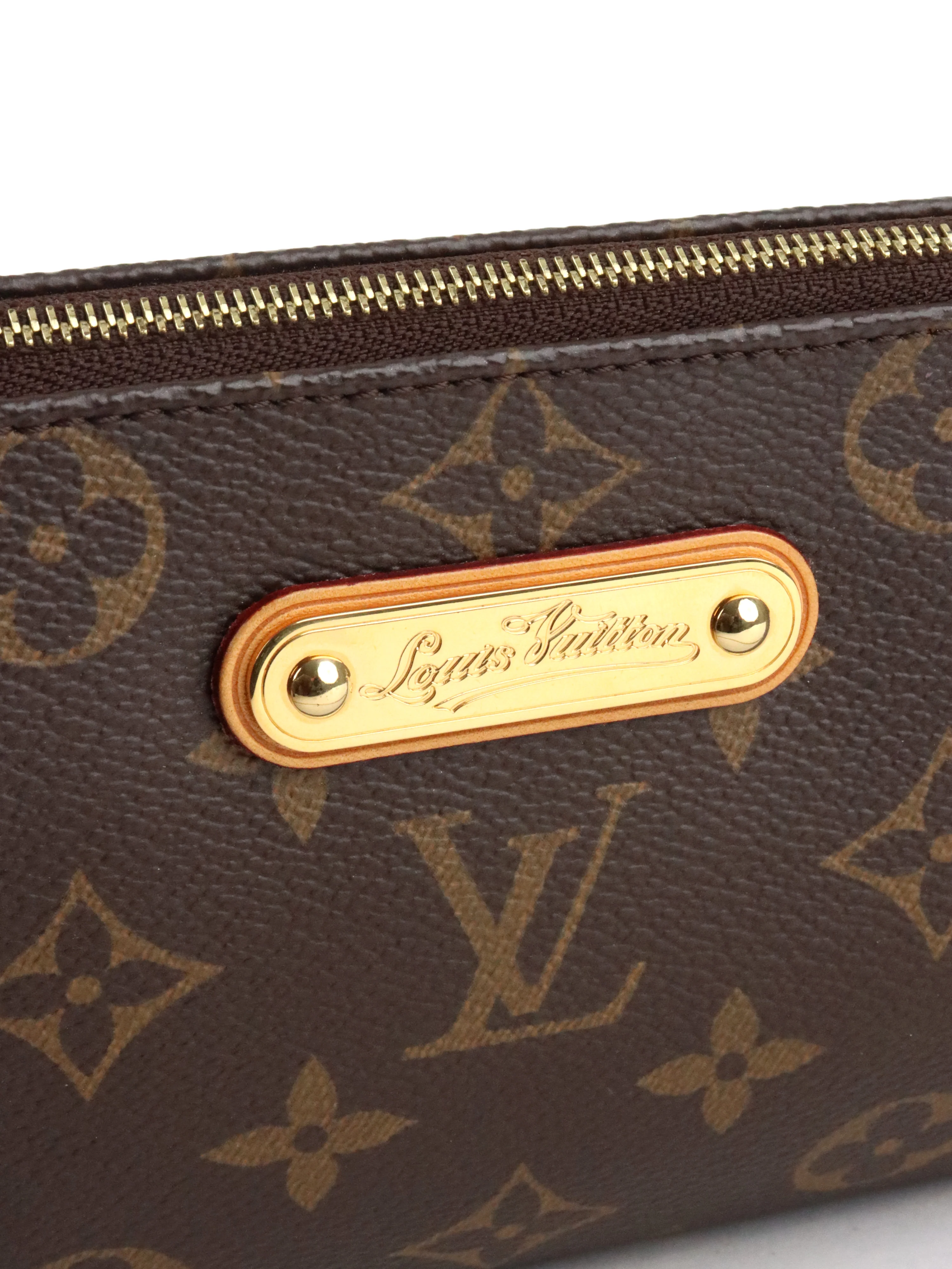Louis Vuitton Monogram Pochette Eva