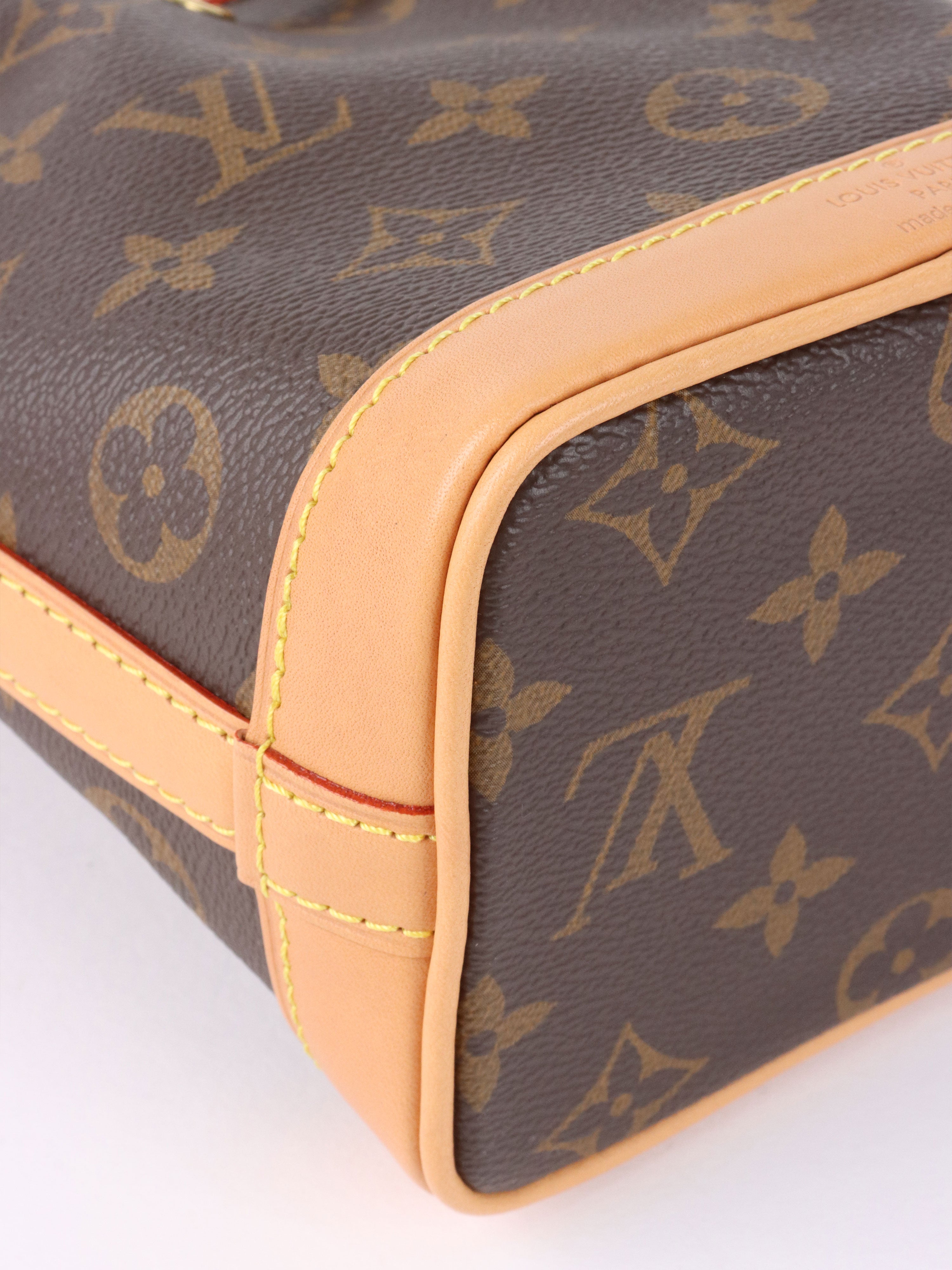 Louis Vuitton Monogram Nano Noé Bag.