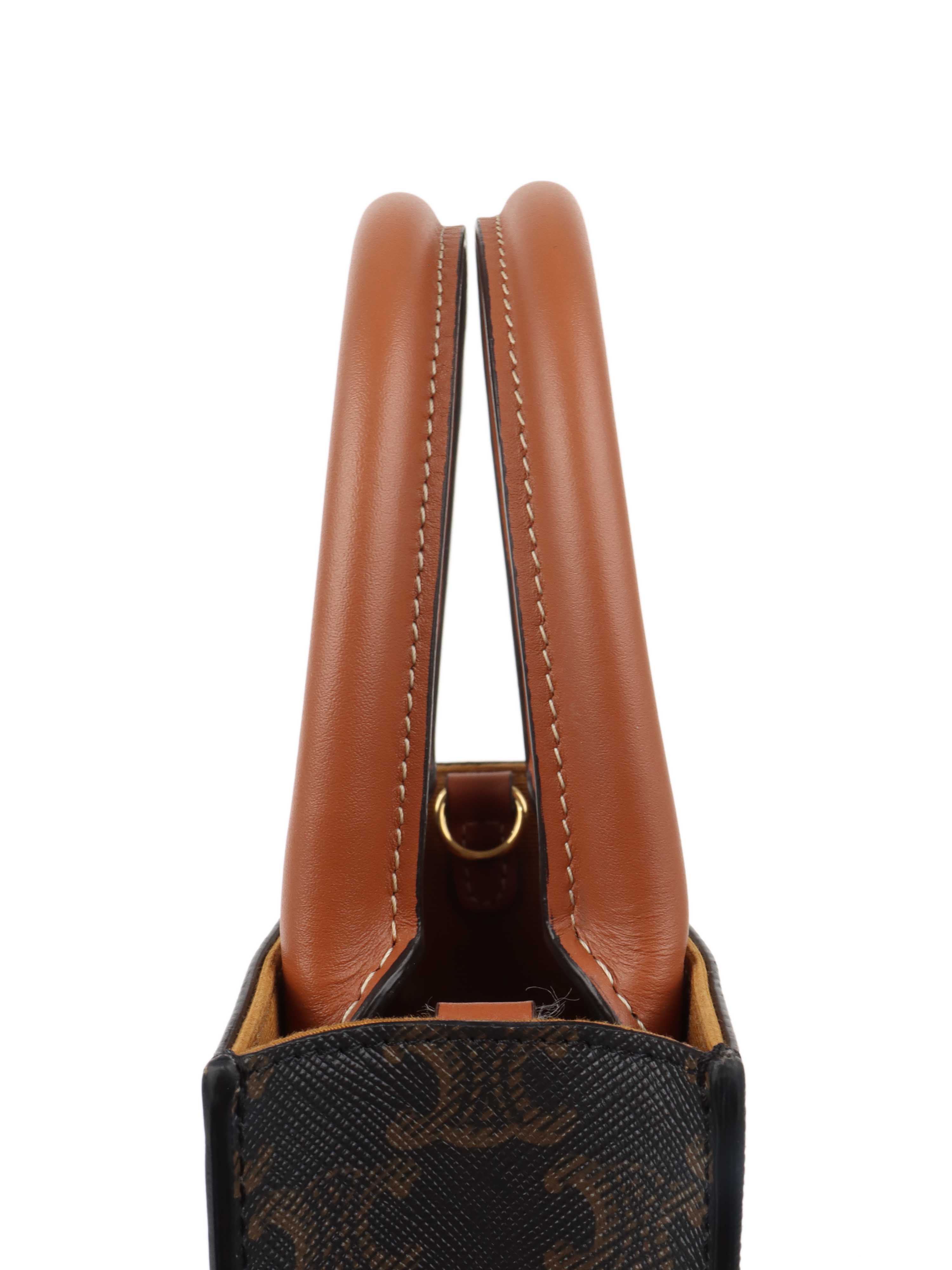 Celine Mini Vertical Cabas in Triomphe Canvas with Celine Print.