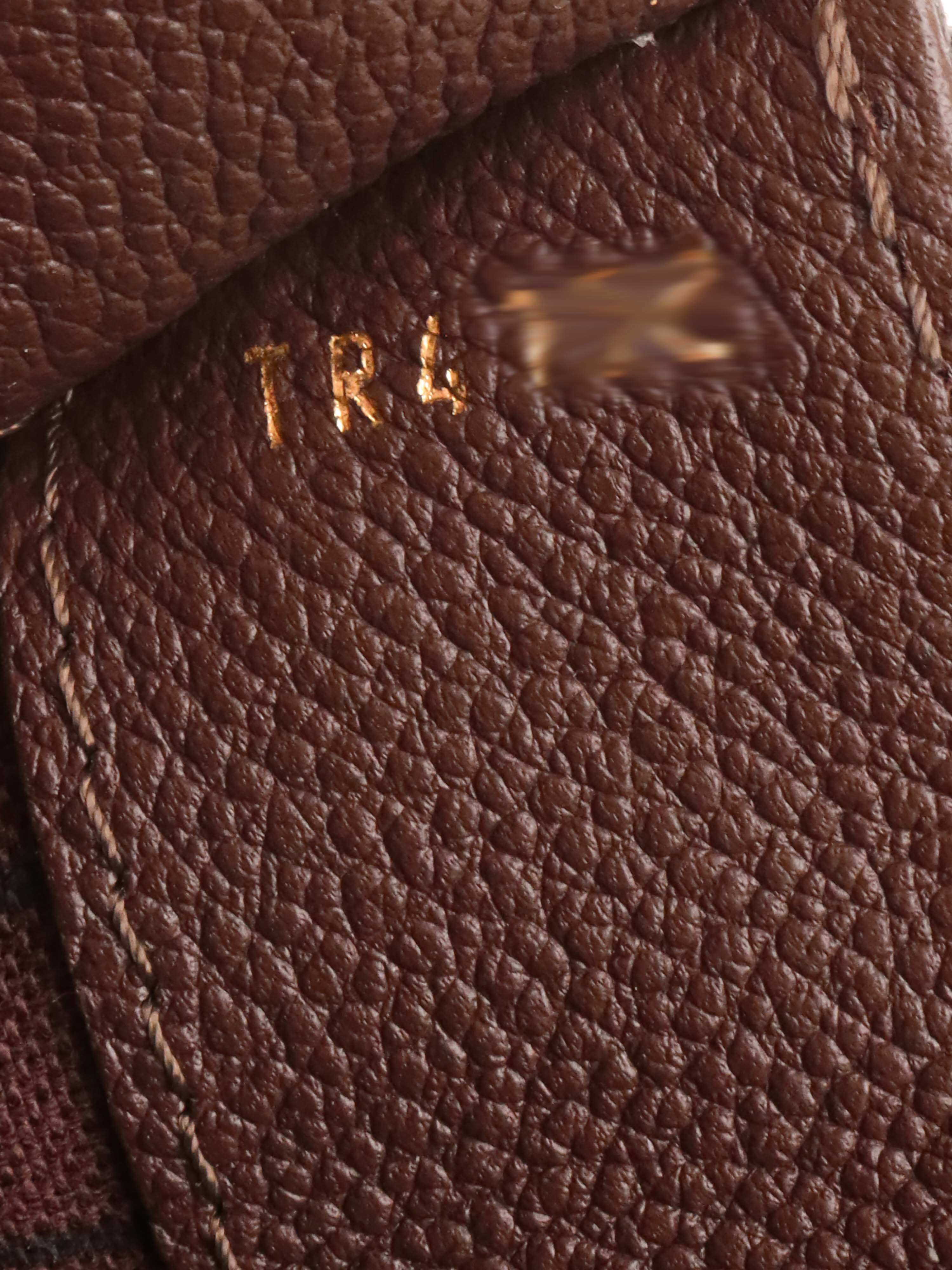 Louis Vuitton Brown Fascinante Empreinte Monogram Bag.
