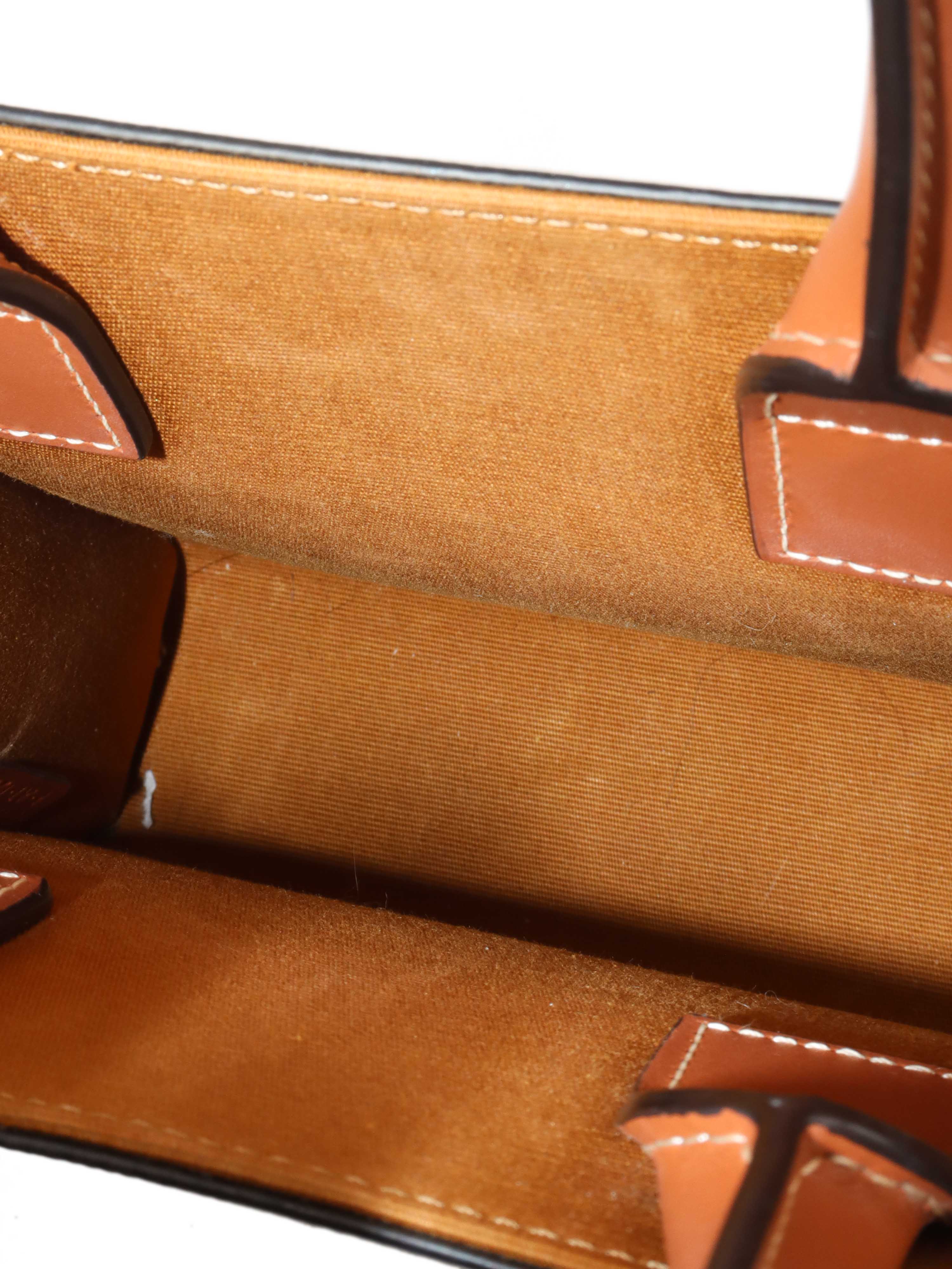 Celine Mini Vertical Cabas in Triomphe Canvas with Celine Print.