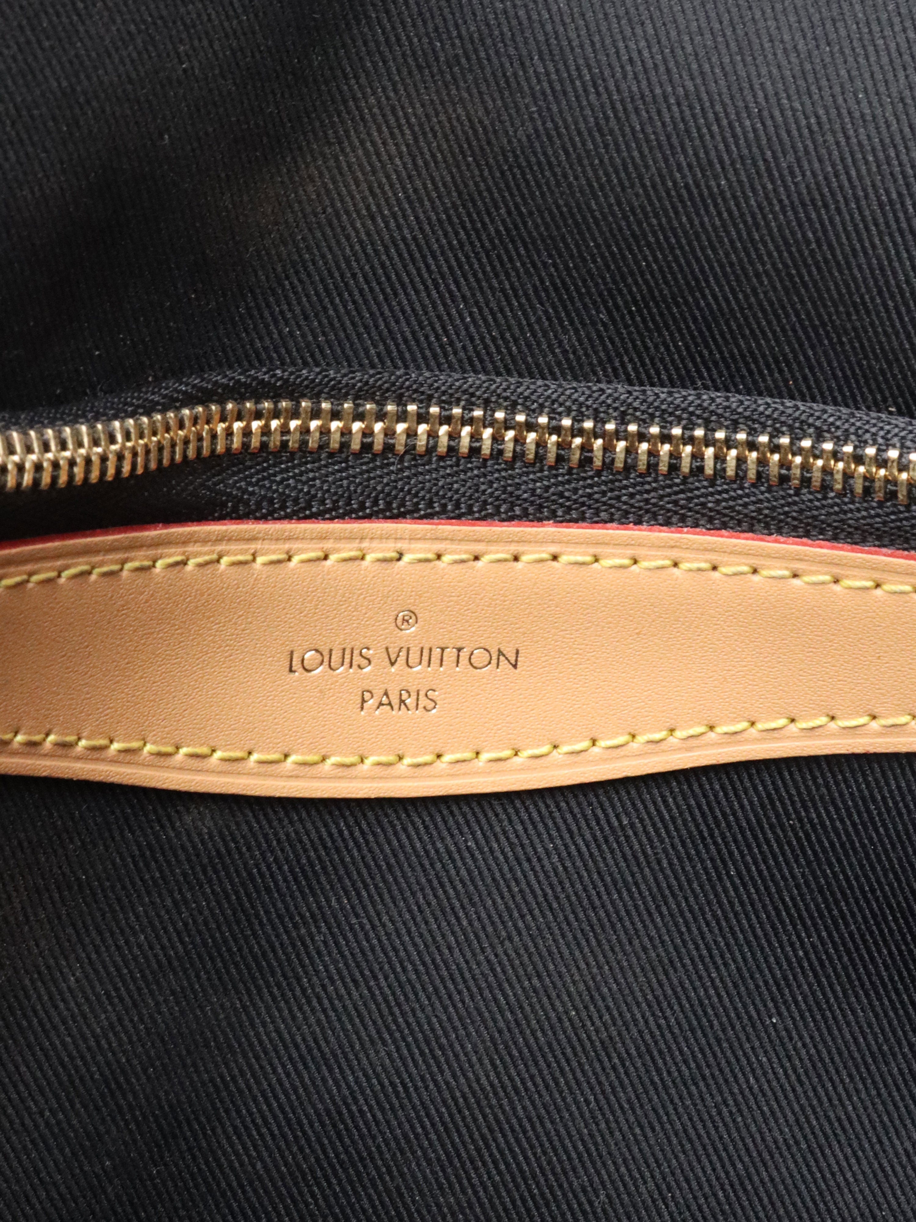 Louis Vuitton Monogram Diane Bag