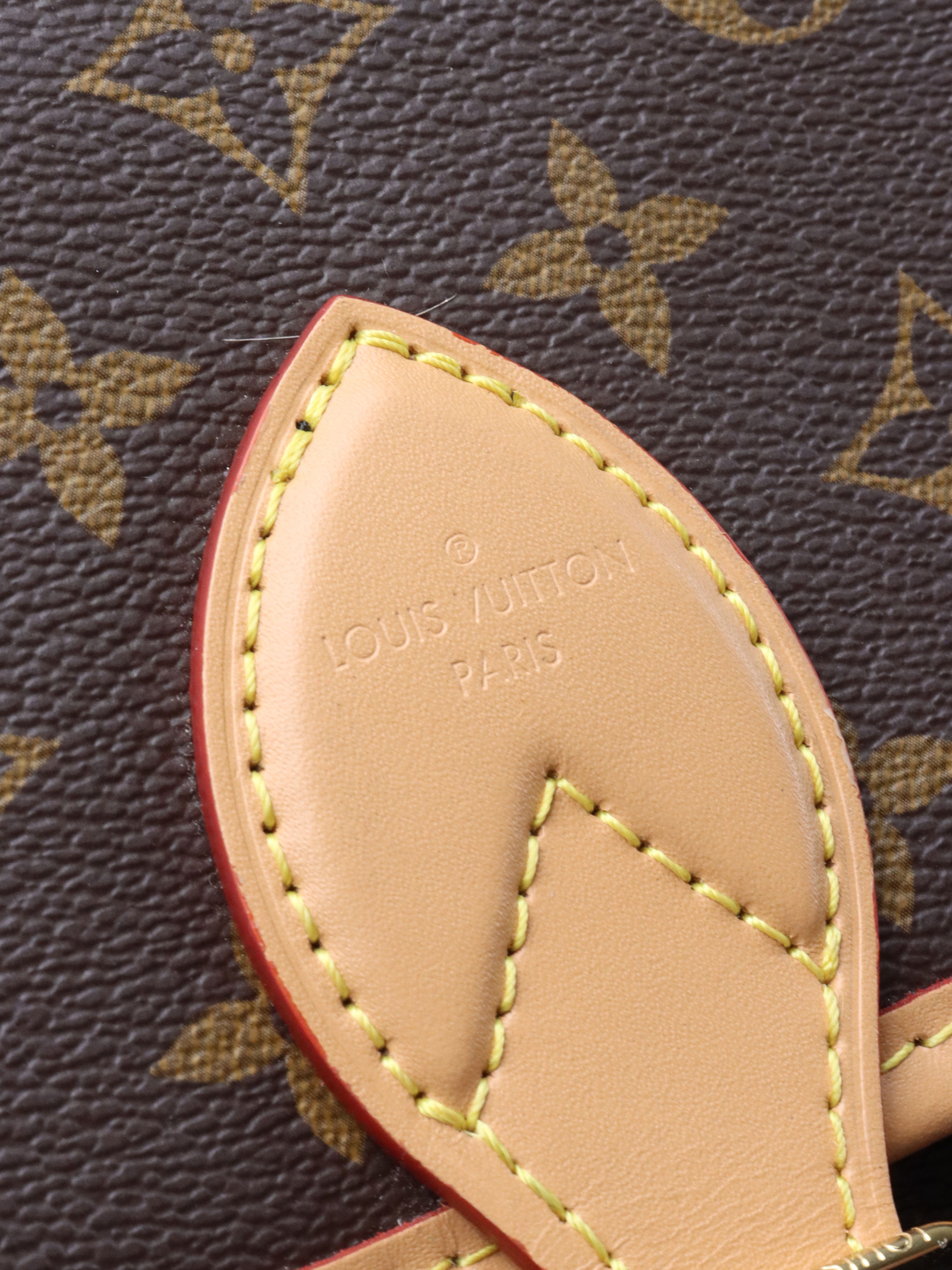 Louis Vuitton Monogram Diane Bag