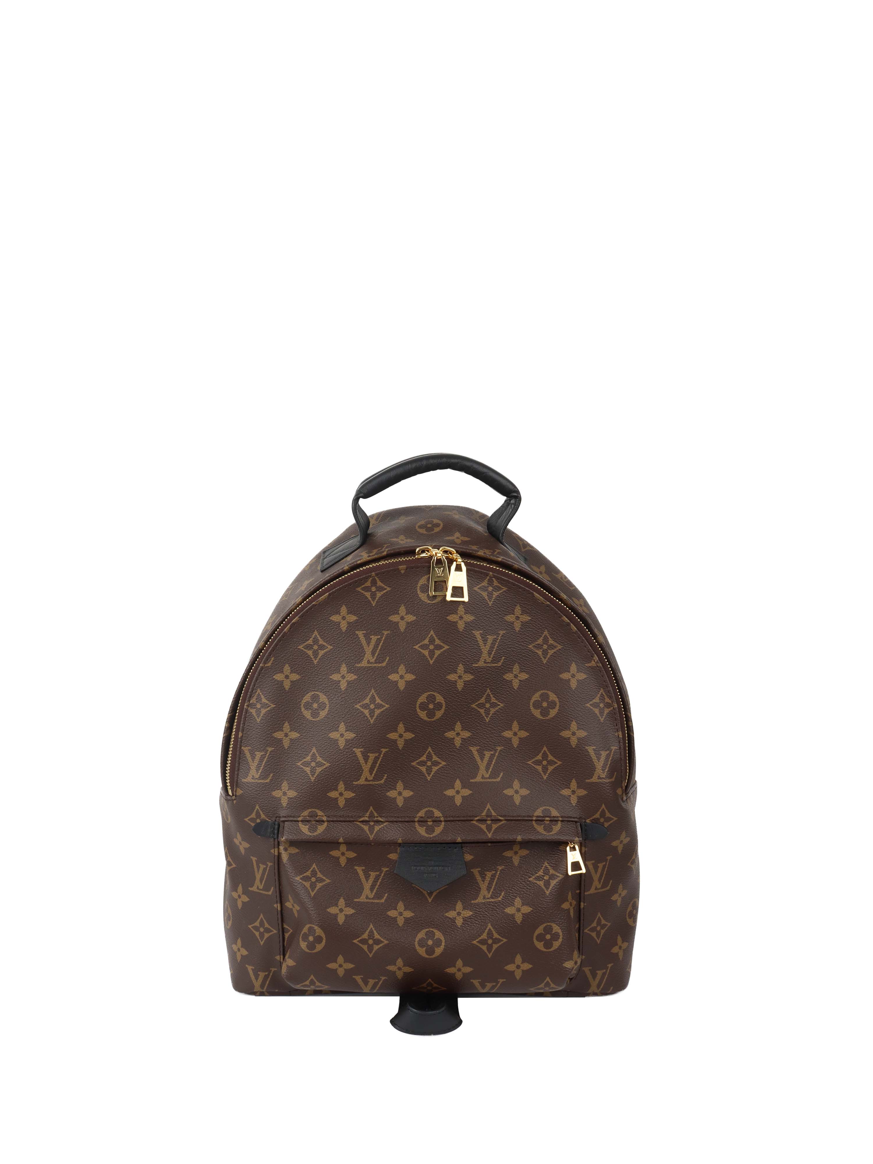 Louis Vuitton Palm Spring MM Backpack.