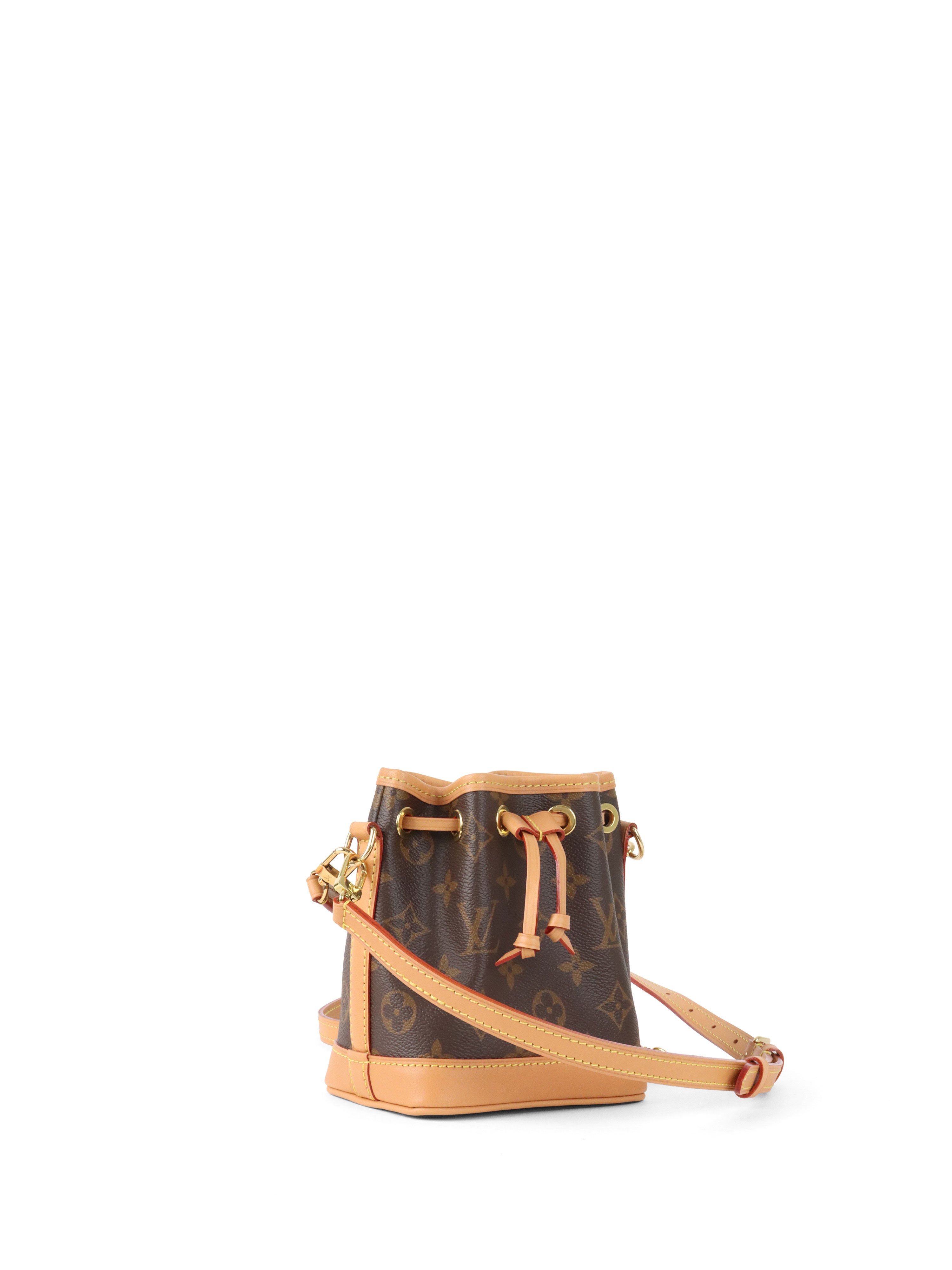 Louis Vuitton Monogram Nano Noé Bag.