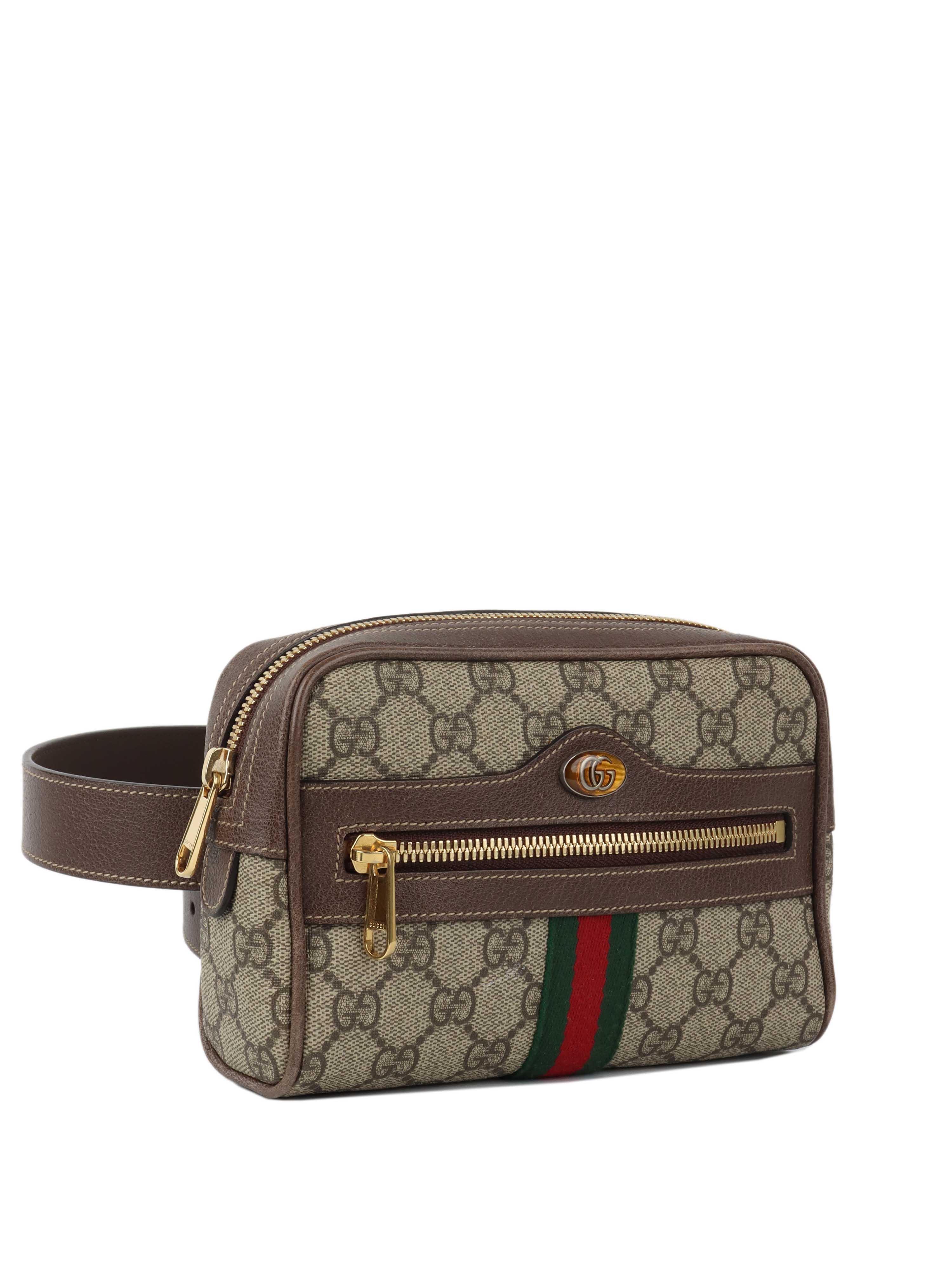 Gucci Ophidia Supreme Belt Bag.