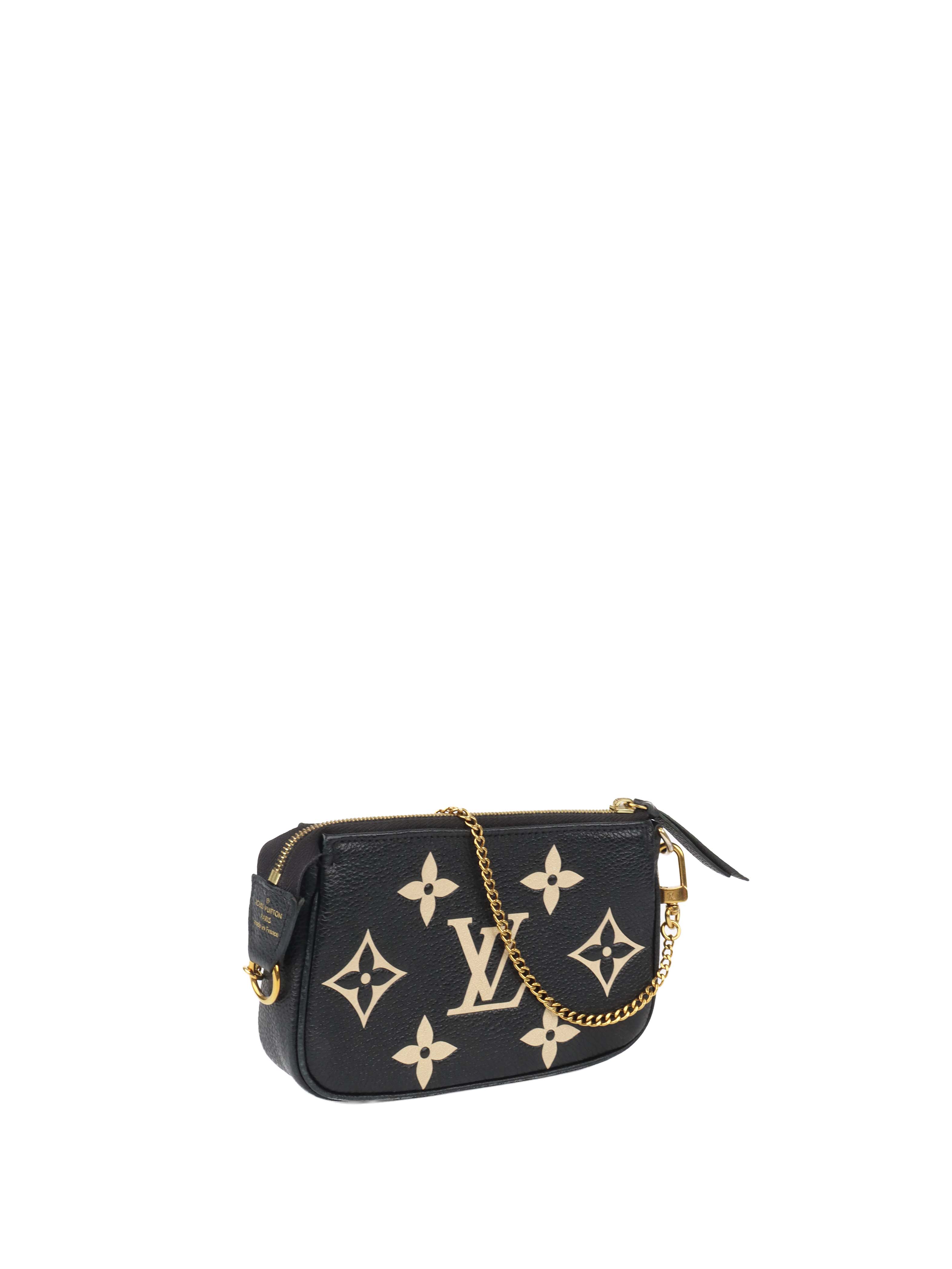 Louis Vuitton Bi-colour Mini Pochette Accessories.