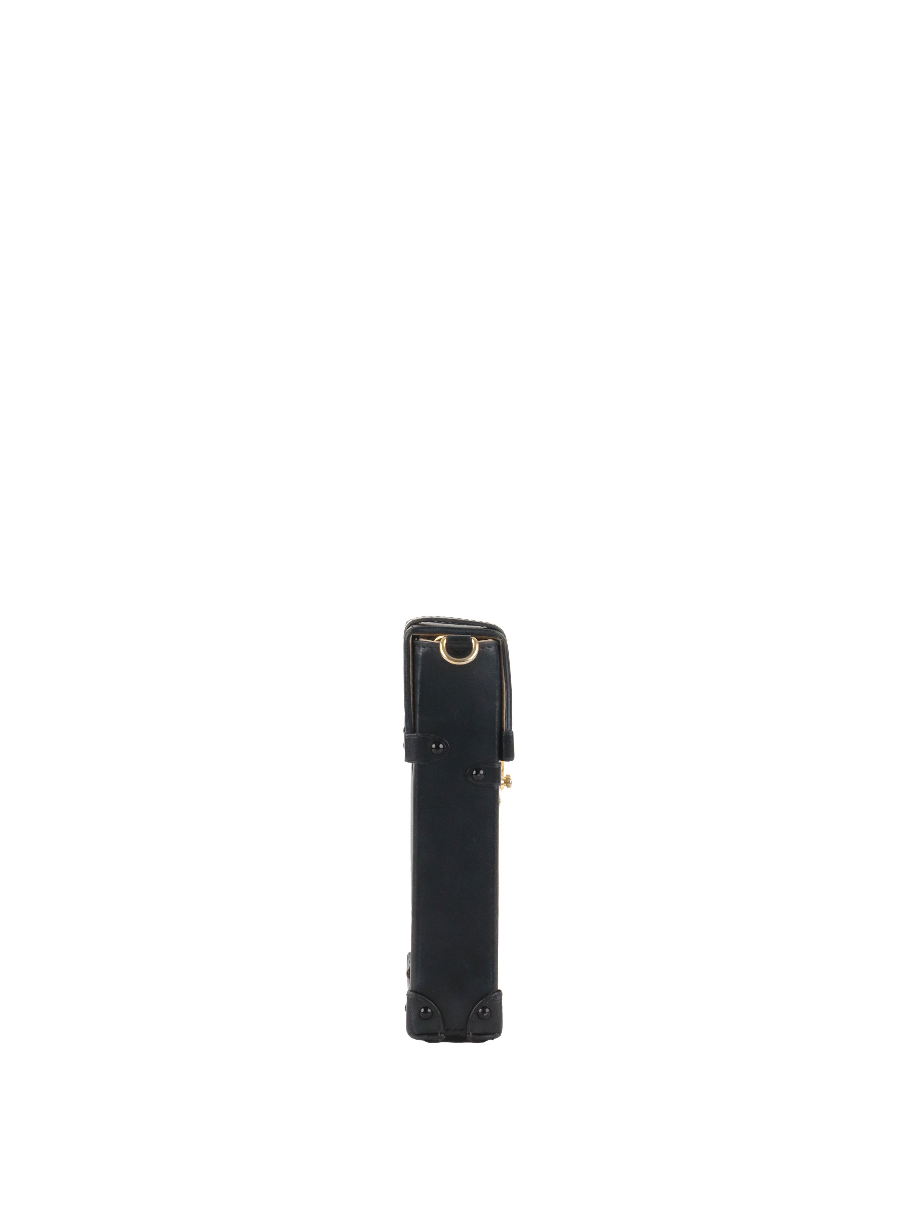 Louis Vuitton monogram Vertical Trunk Pochette.
