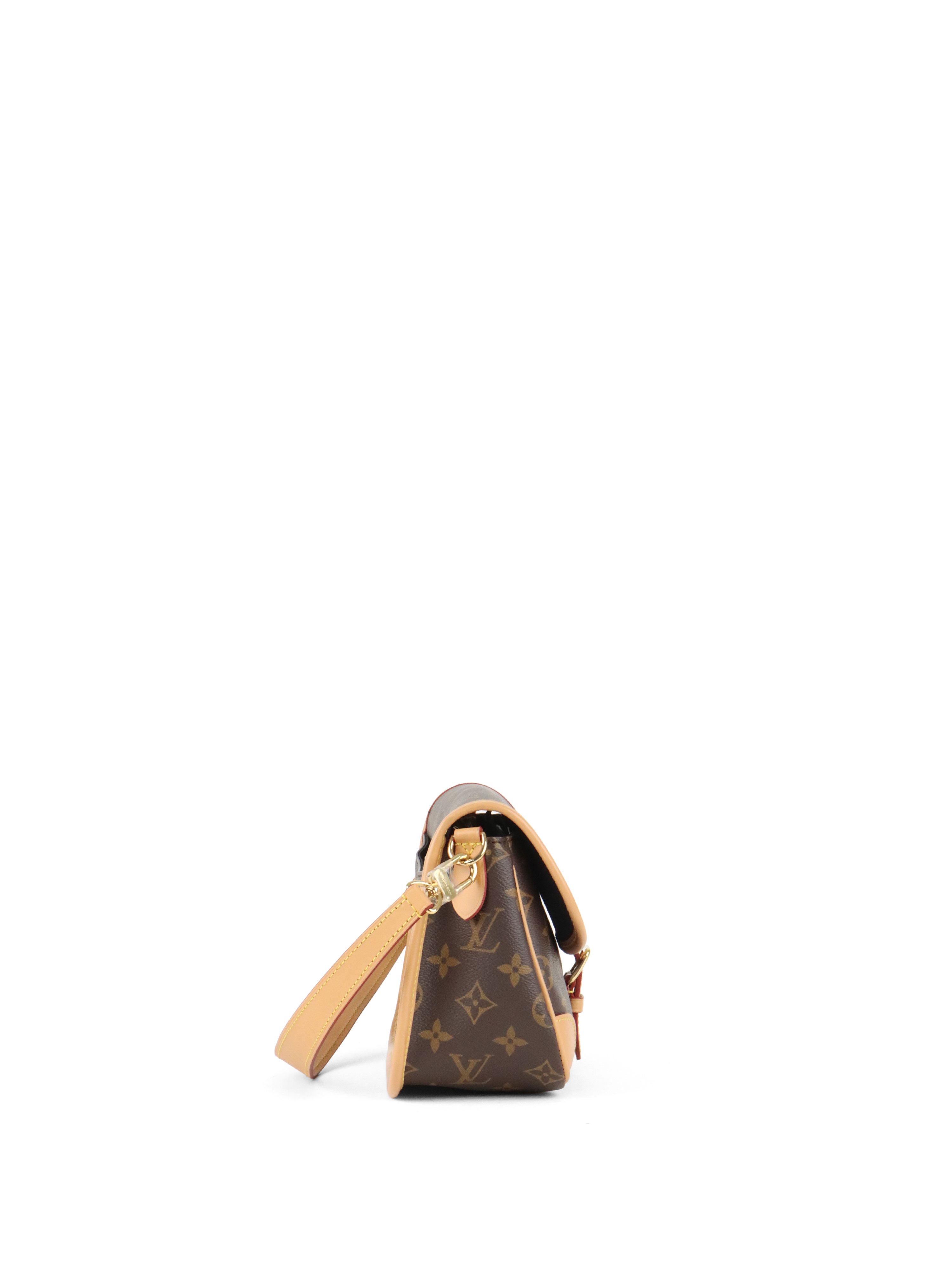 Louis Vuitton Monogram Diane Bag