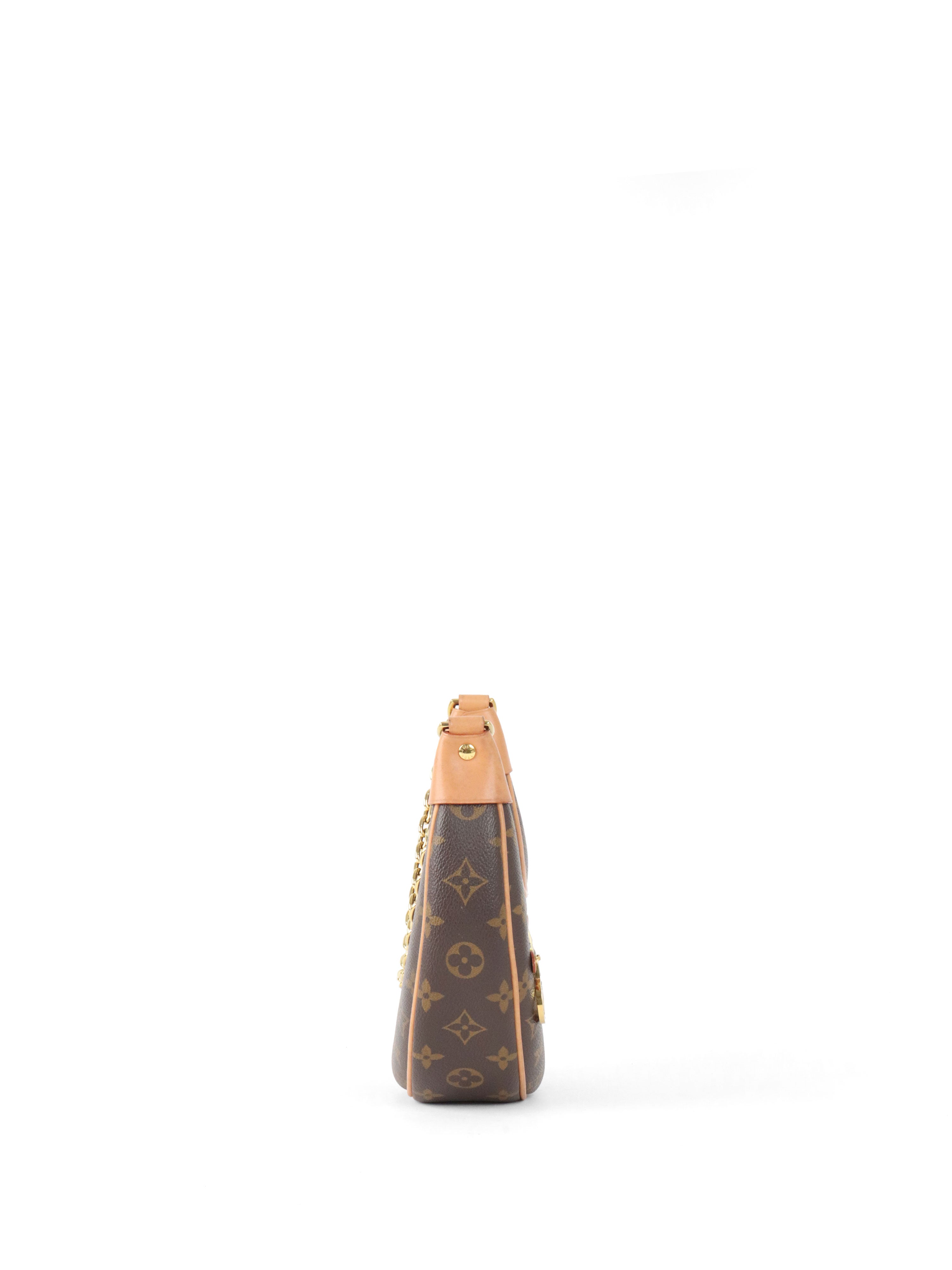 Louis Vuitton Monogram Loop Bag.