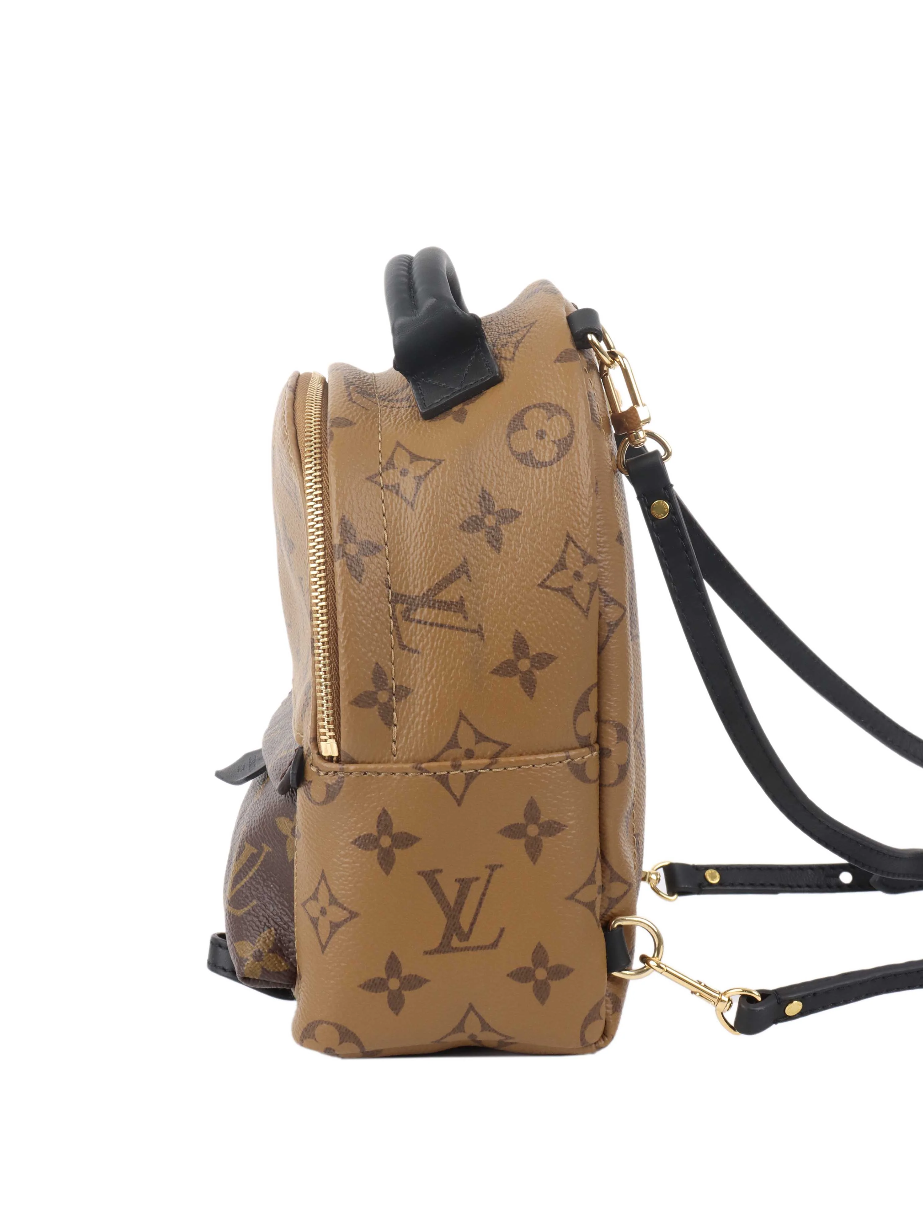 Louis Vuitton Reverse Palm Springs Mini Backpack.