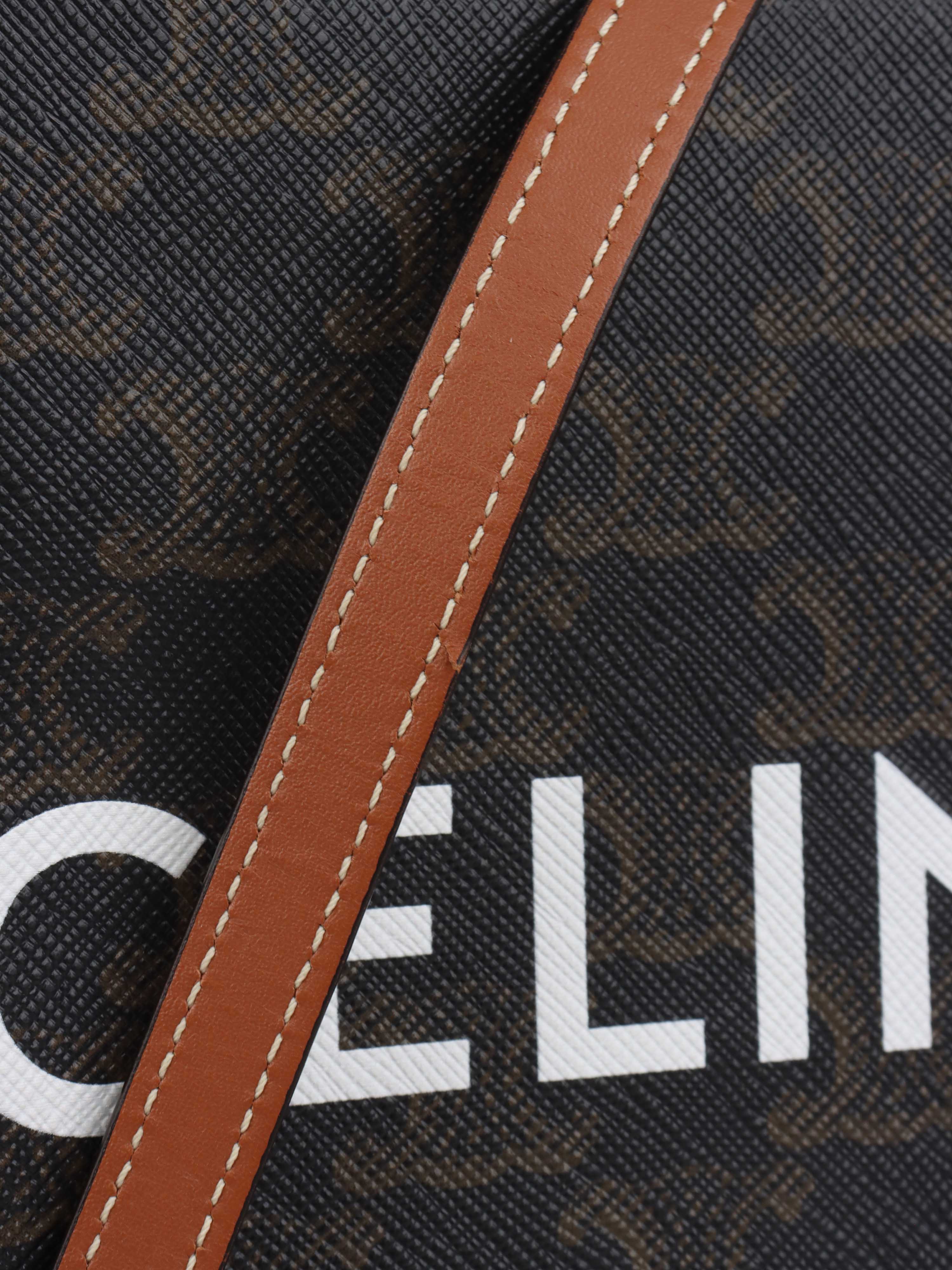 Celine Mini Vertical Cabas in Triomphe Canvas with Celine Print.