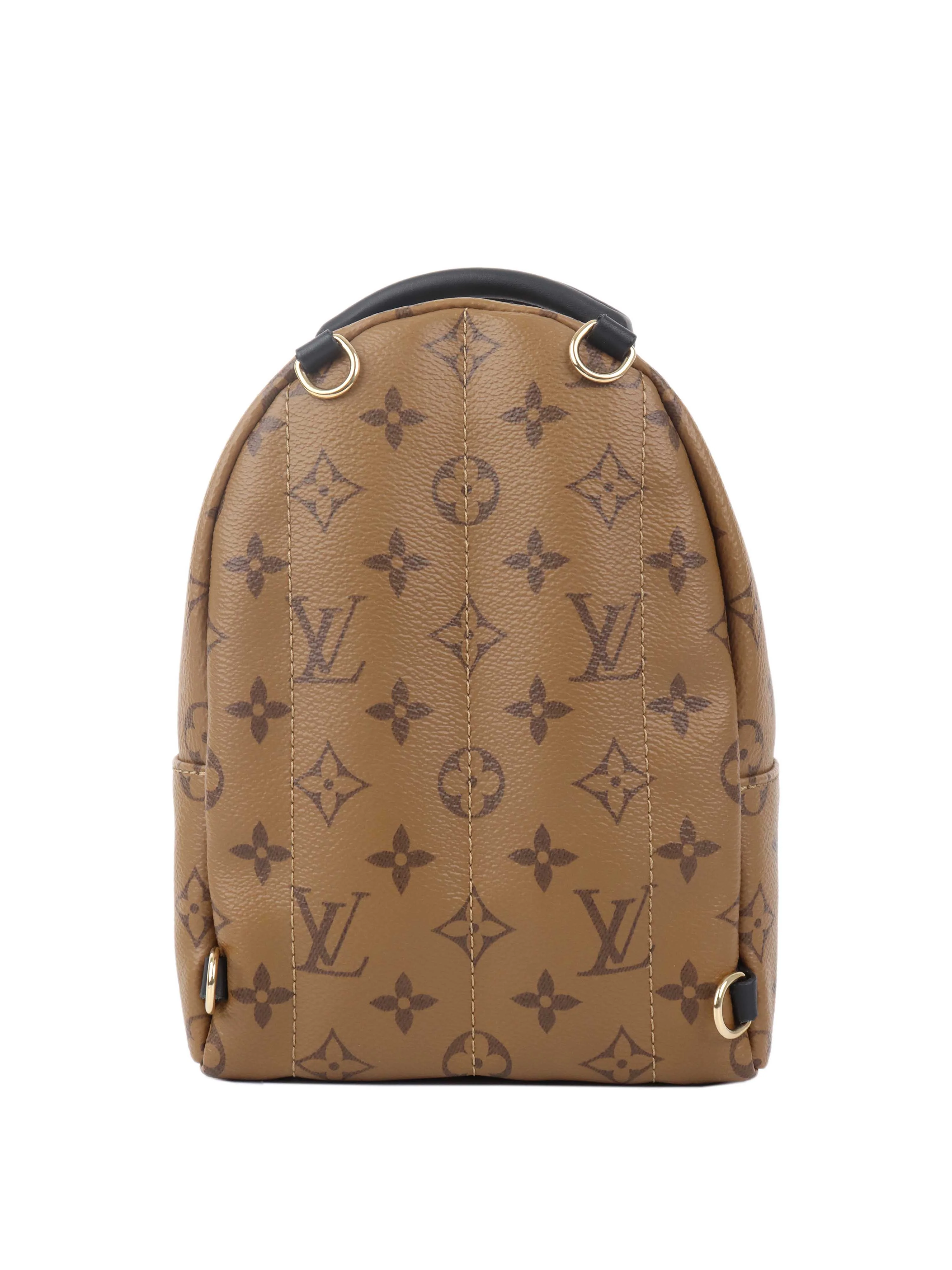 Louis Vuitton Reverse Palm Springs Mini Backpack.