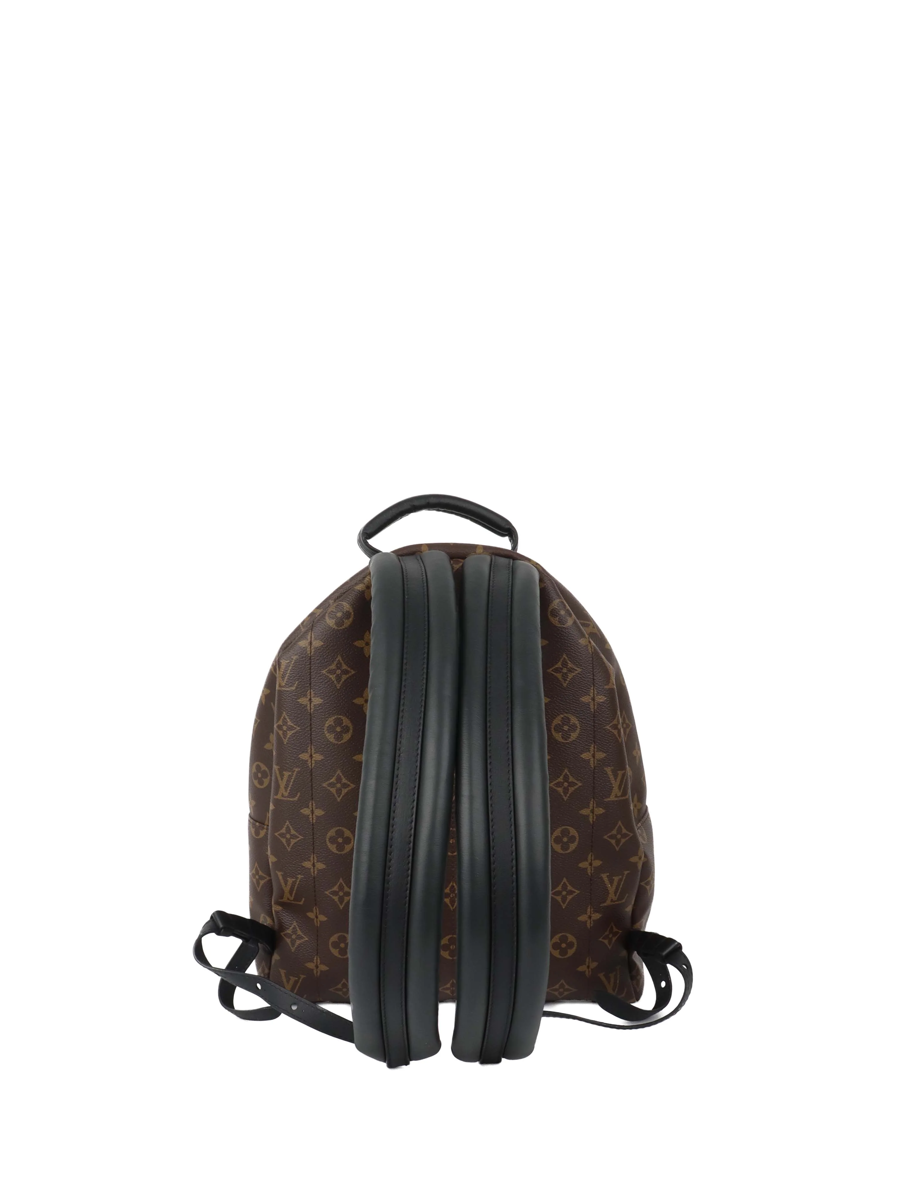 Louis Vuitton Palm Spring MM Backpack.