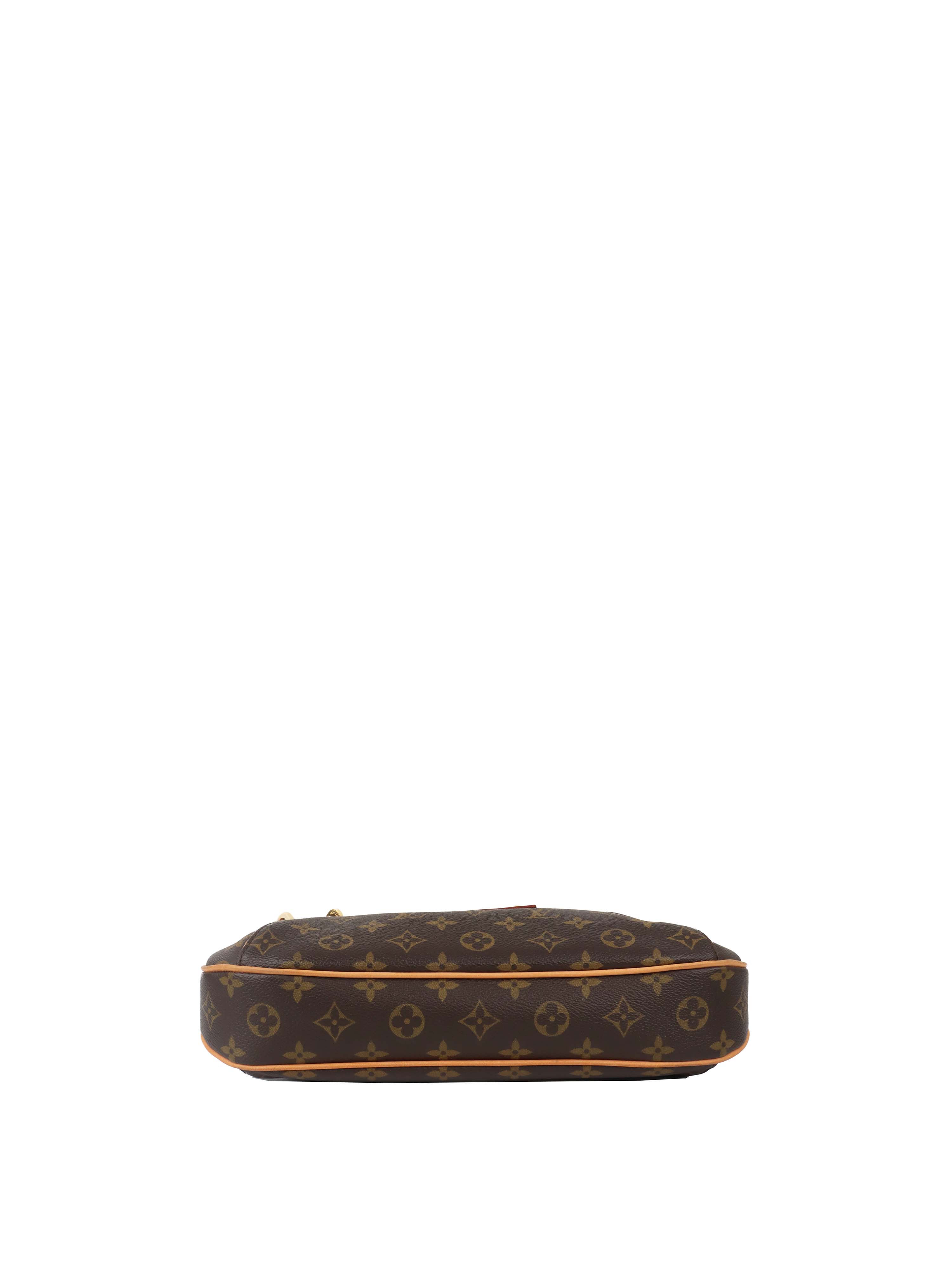 Louis Vuitton Brown Monogram Thames PM Bag.