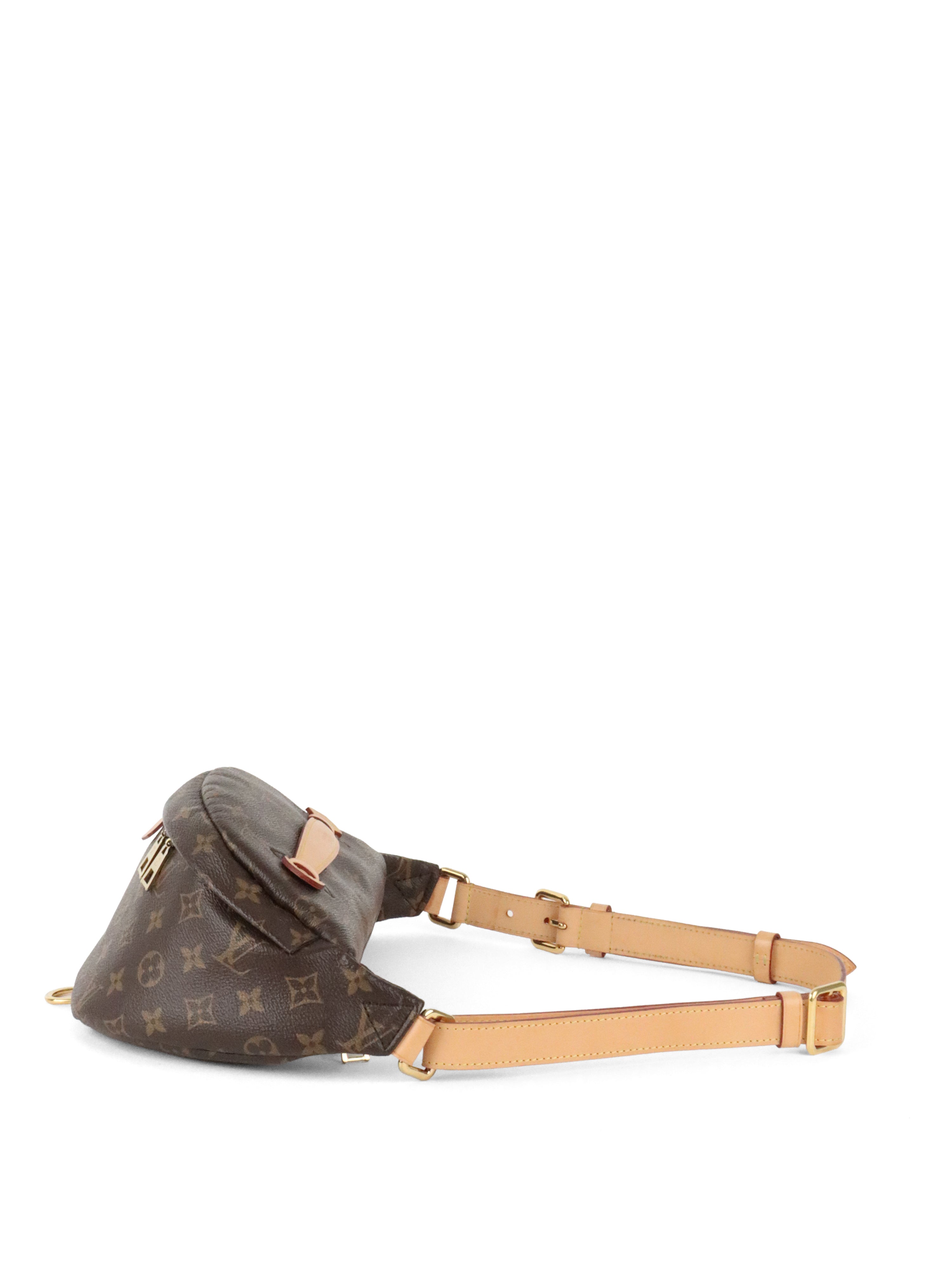 Louis Vuitton Monogram Bumbag