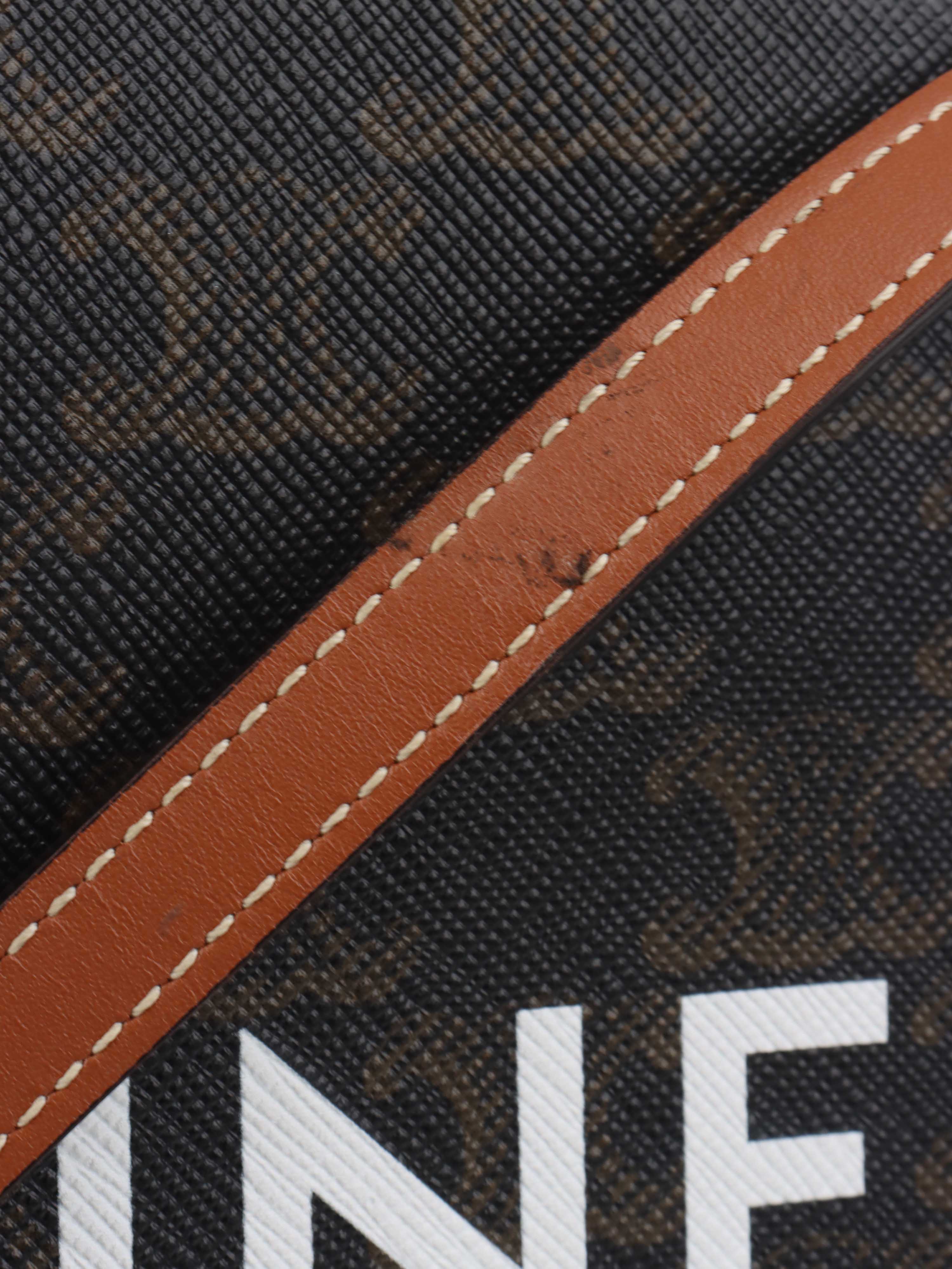 Celine Mini Vertical Cabas in Triomphe Canvas with Celine Print.