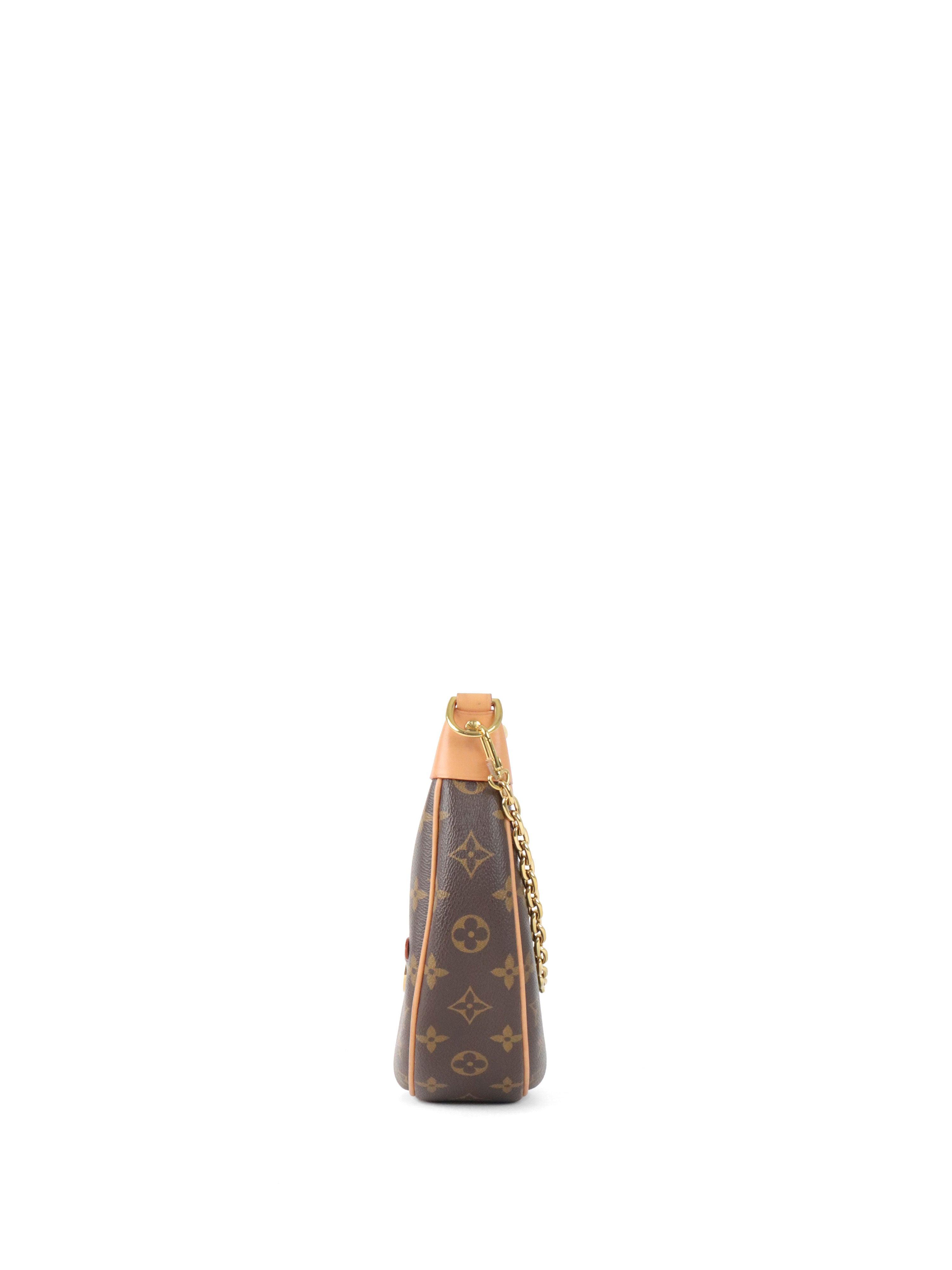 Louis Vuitton Monogram Loop Bag.