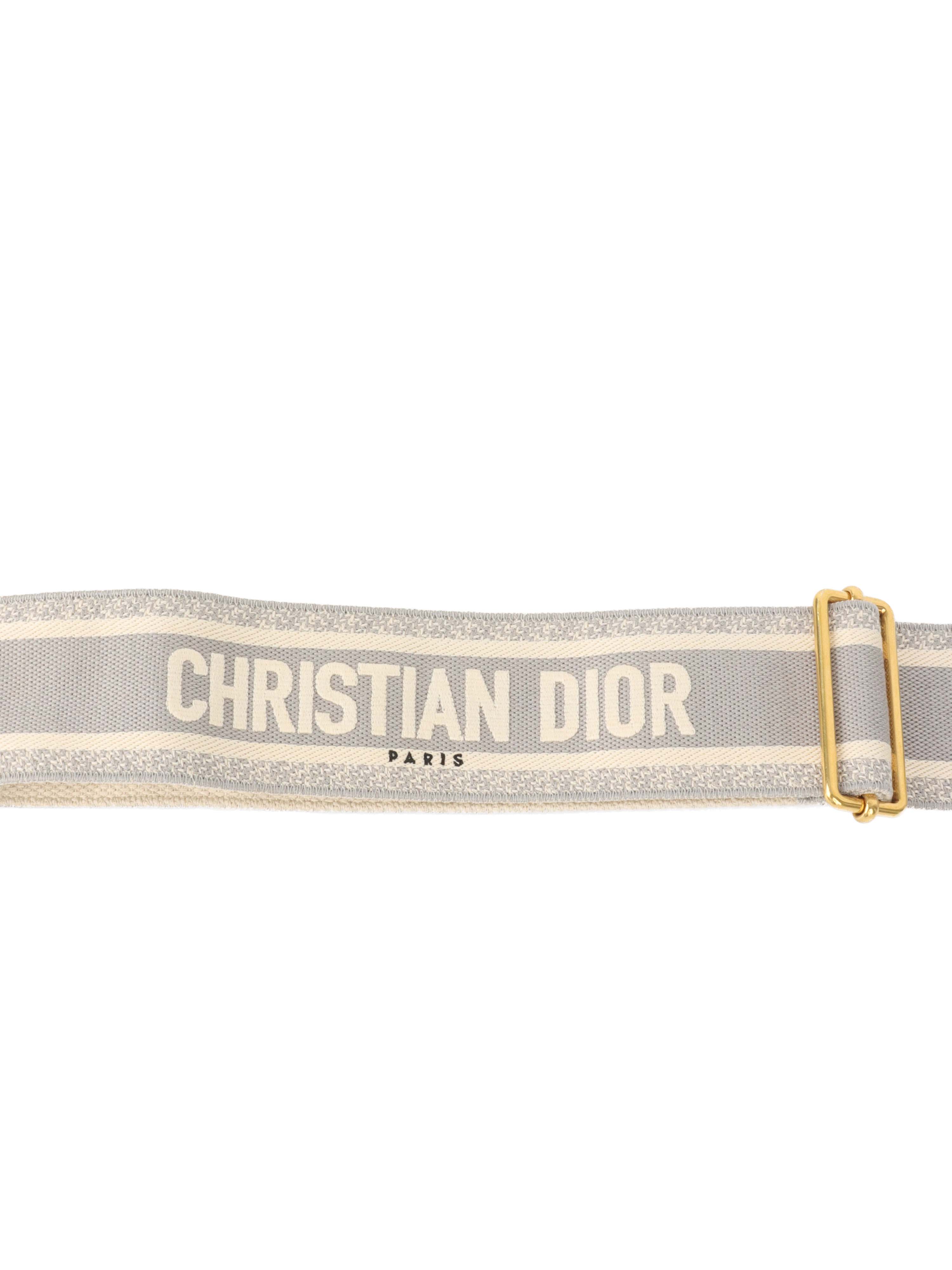 Dior Grey Adjustable Shoulder Strap with Ring.