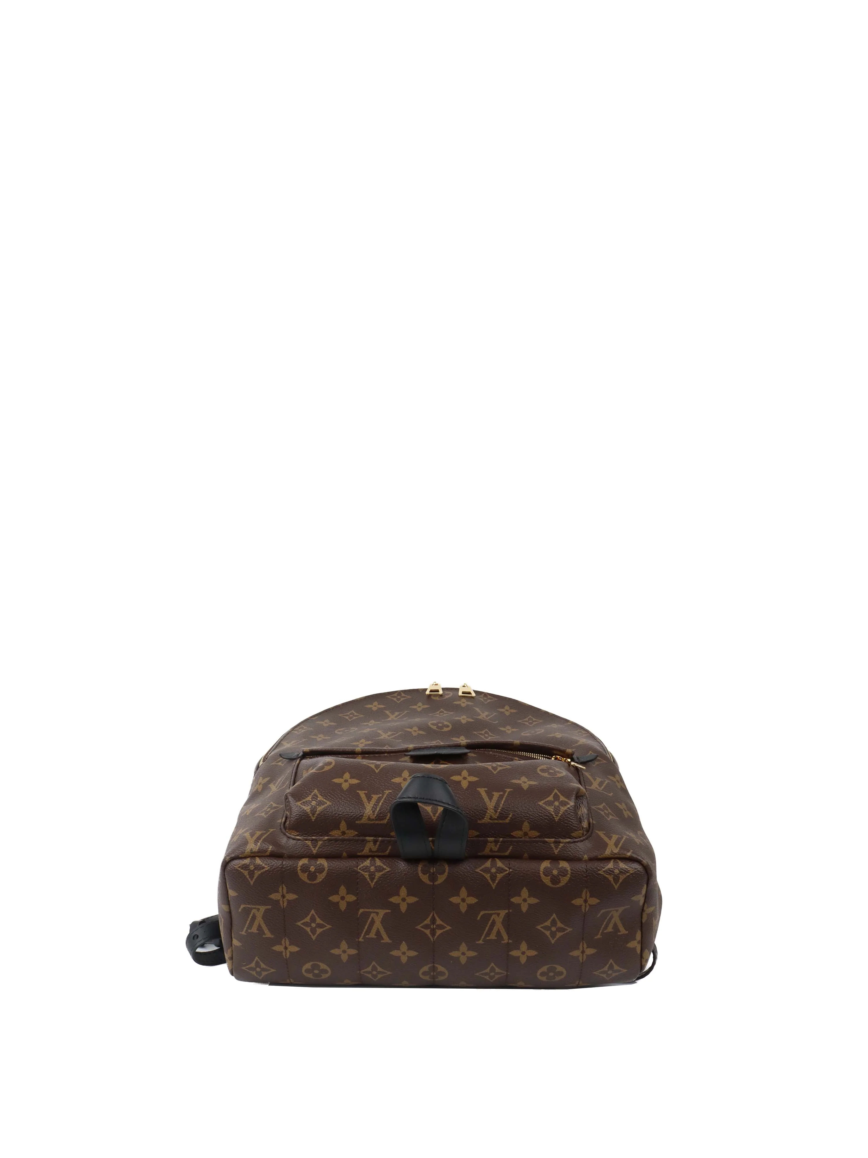 Louis Vuitton Palm Spring MM Backpack.