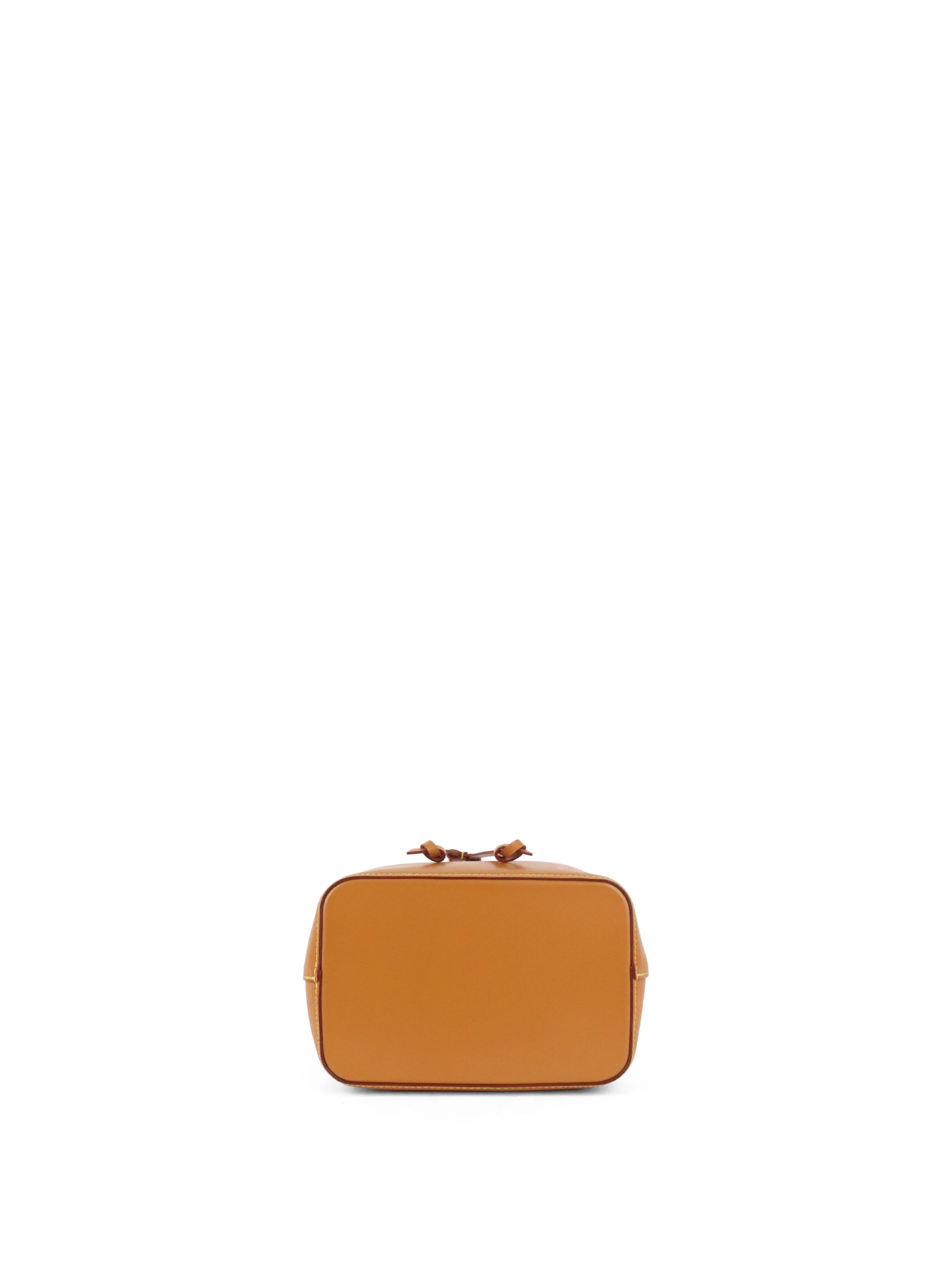 Louis Vuitton Gold Miel Néonoé BB Bag