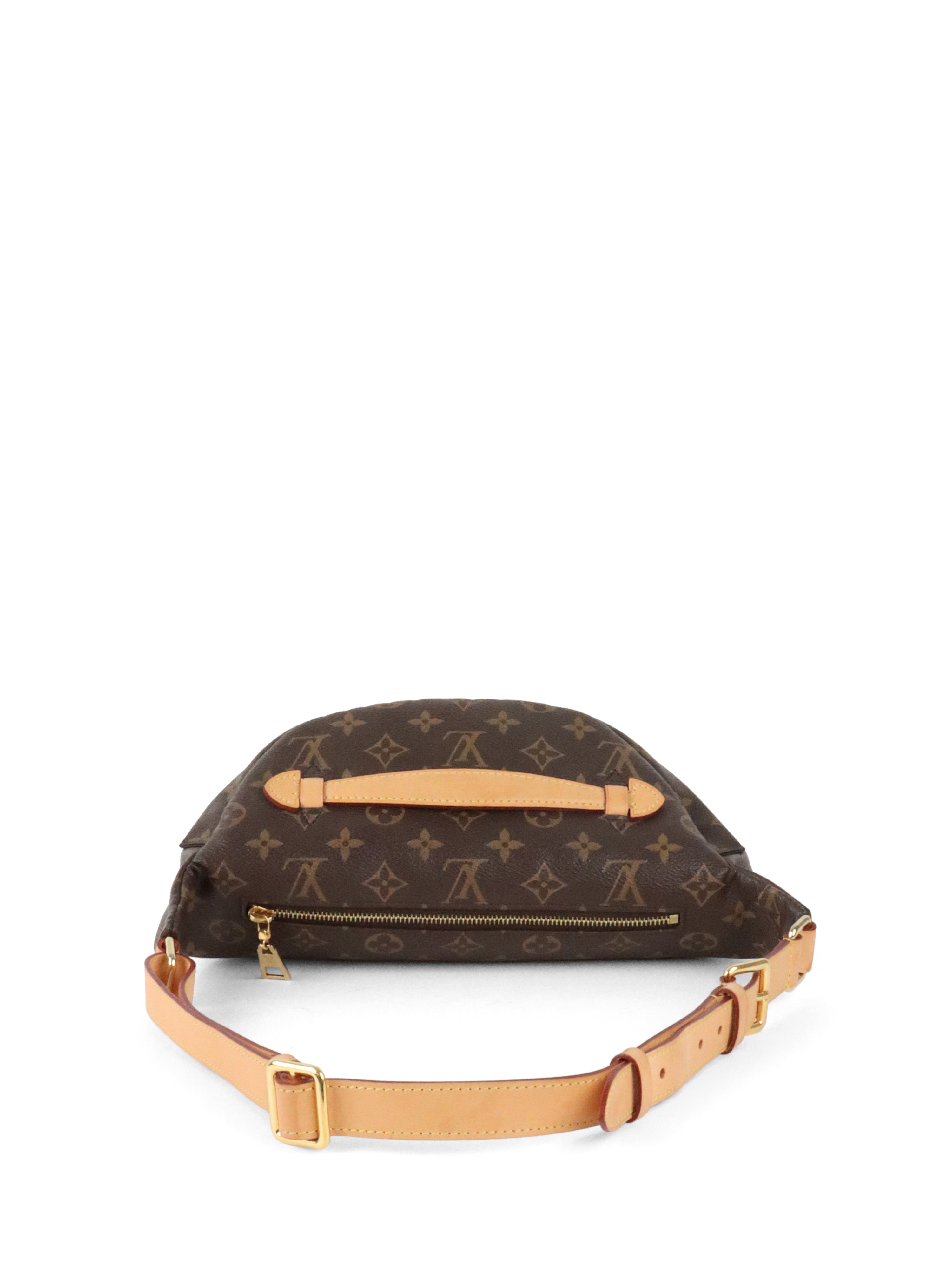 Louis Vuitton Monogram Bumbag