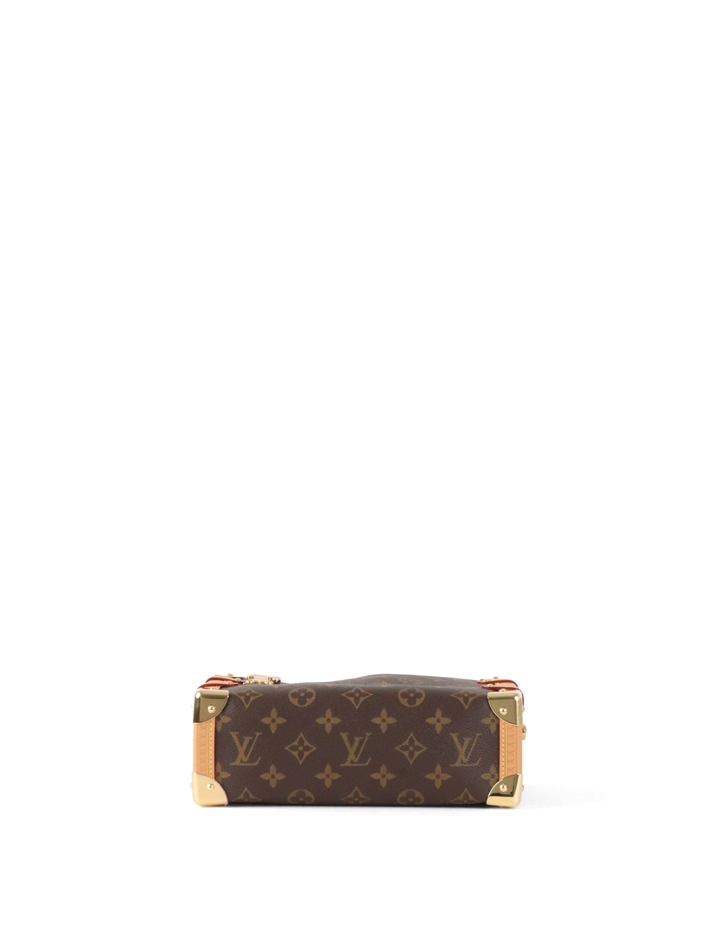 Louis Vuitton Monogram Side Trunk MM