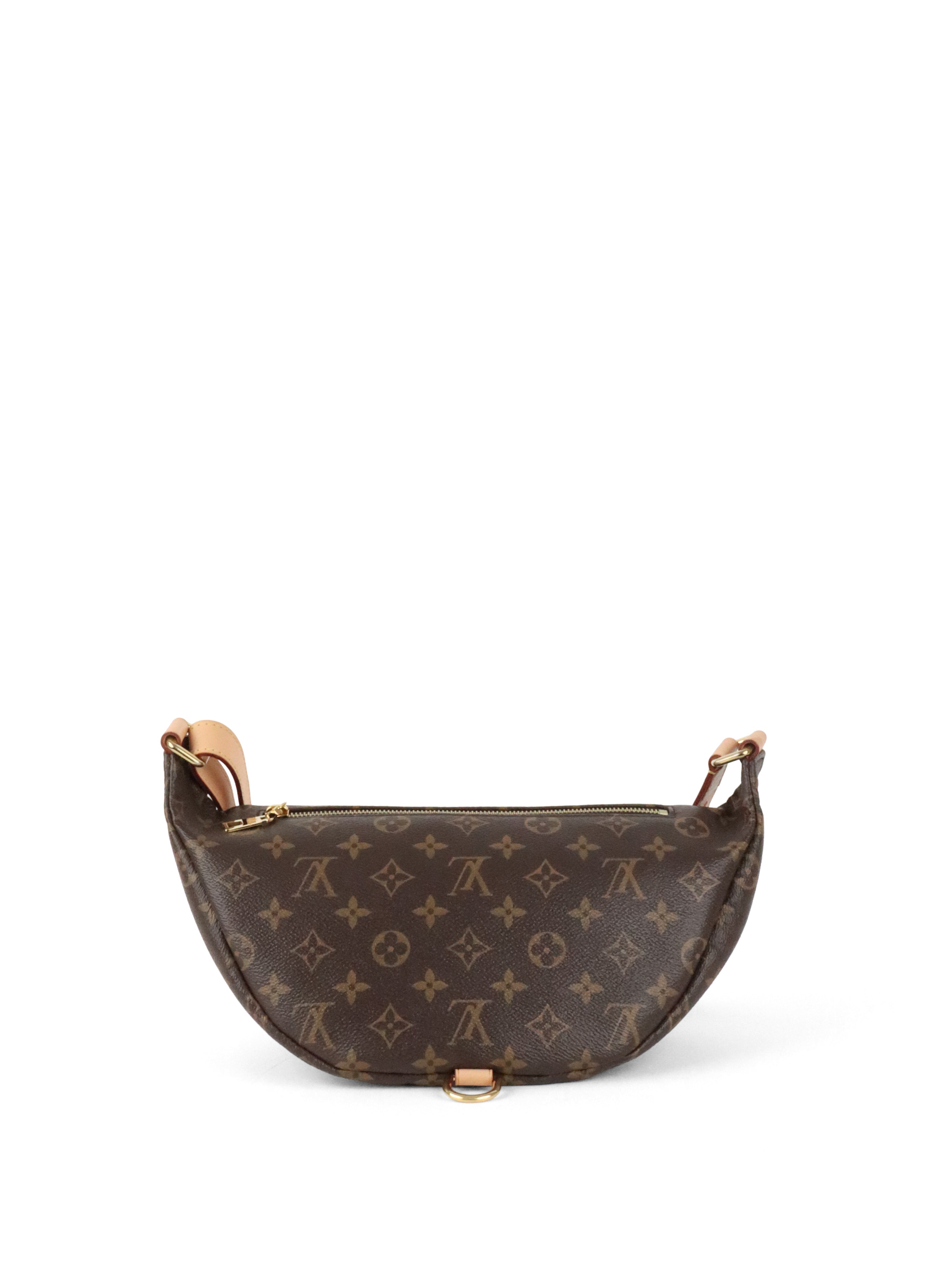 Louis Vuitton Monogram Bumbag