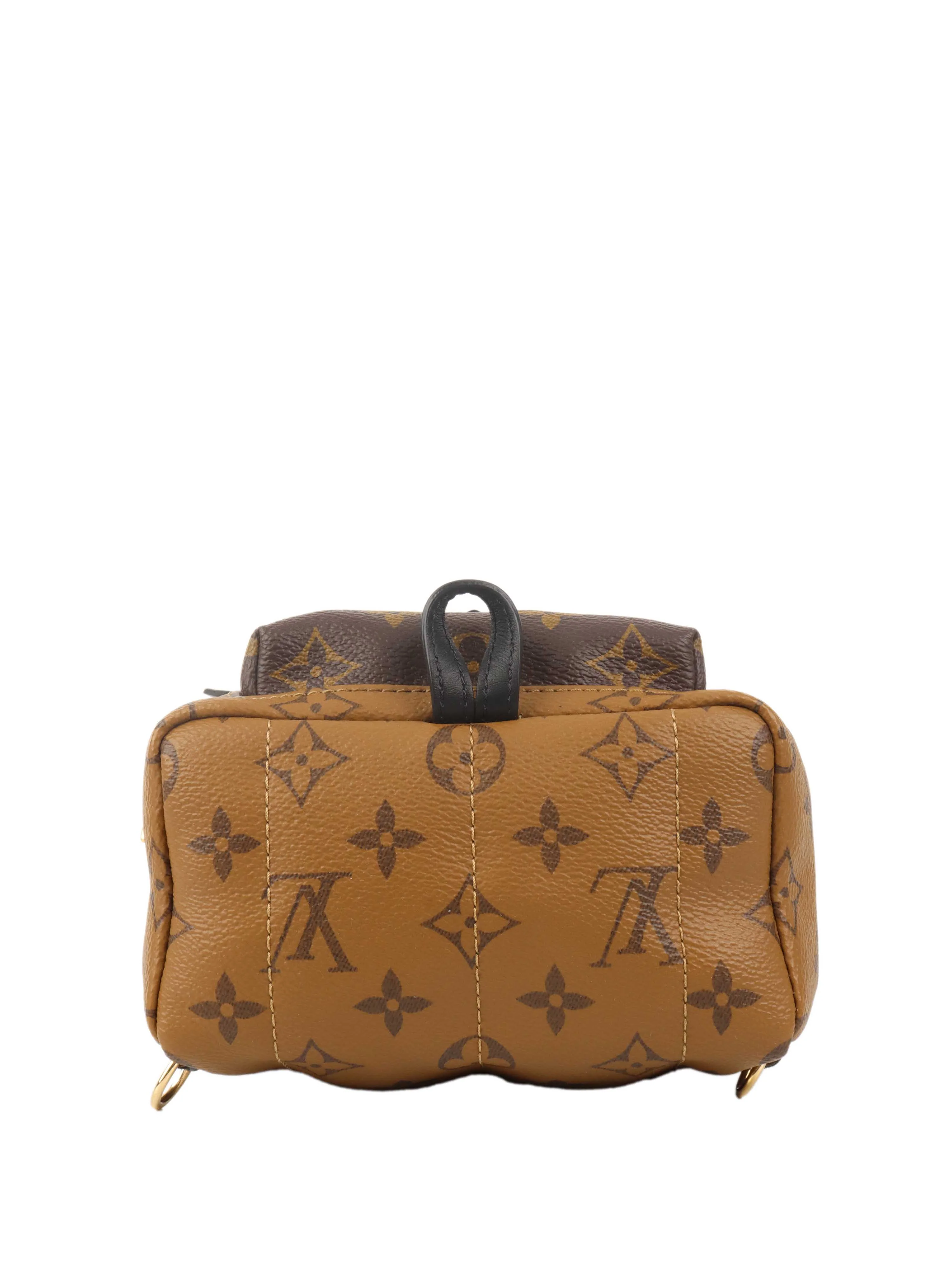 Louis Vuitton Reverse Palm Springs Mini Backpack.