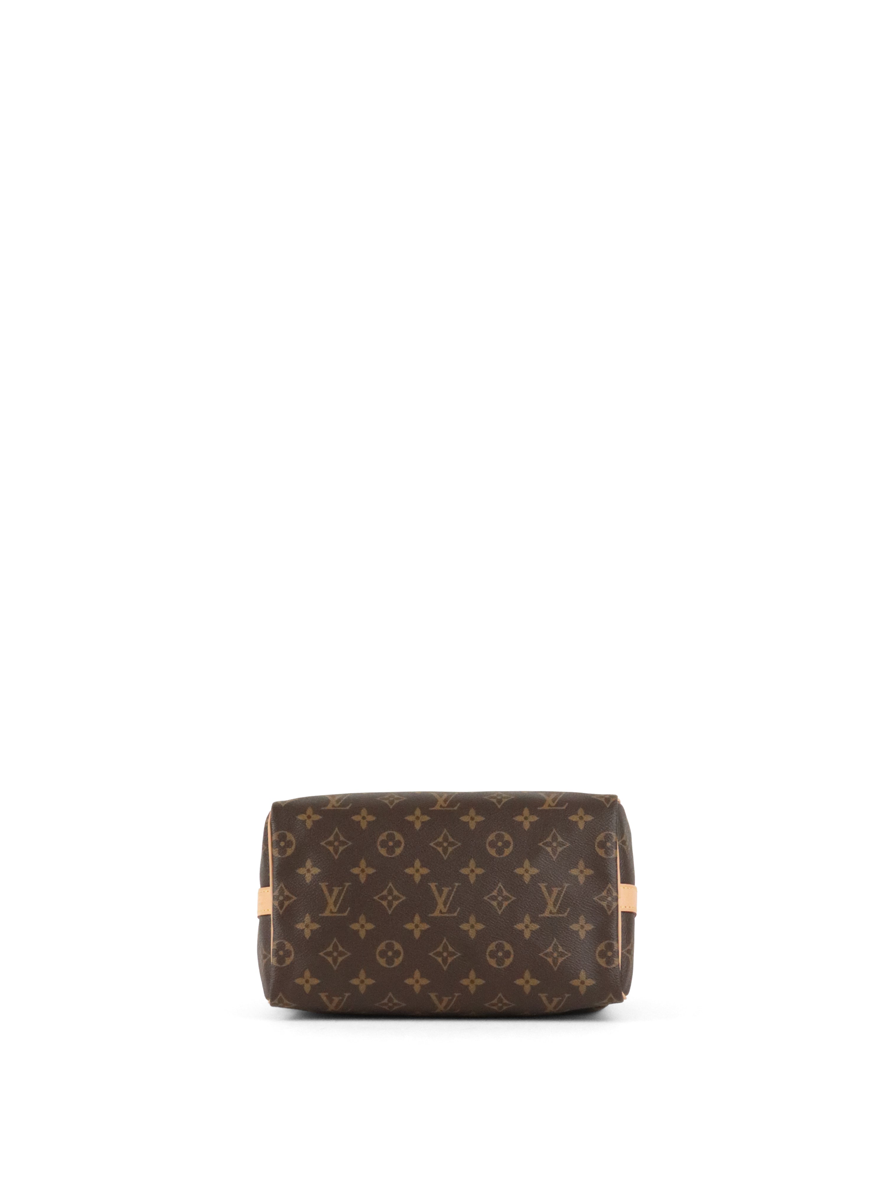 Louis Vuitton Speedy 25  Bandoulière Bag