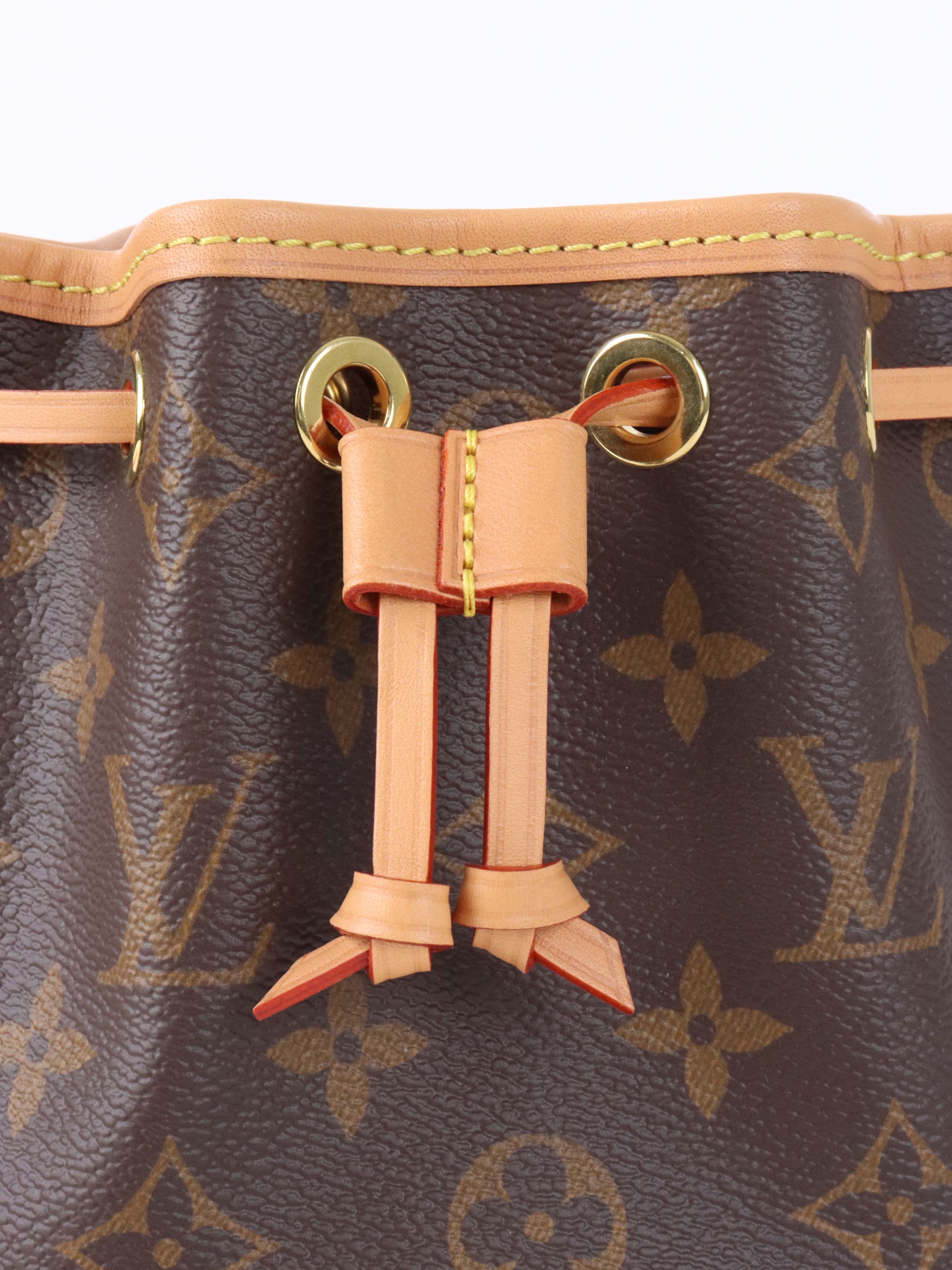 Louis Vuitton Monogram Nano Noé Bag.