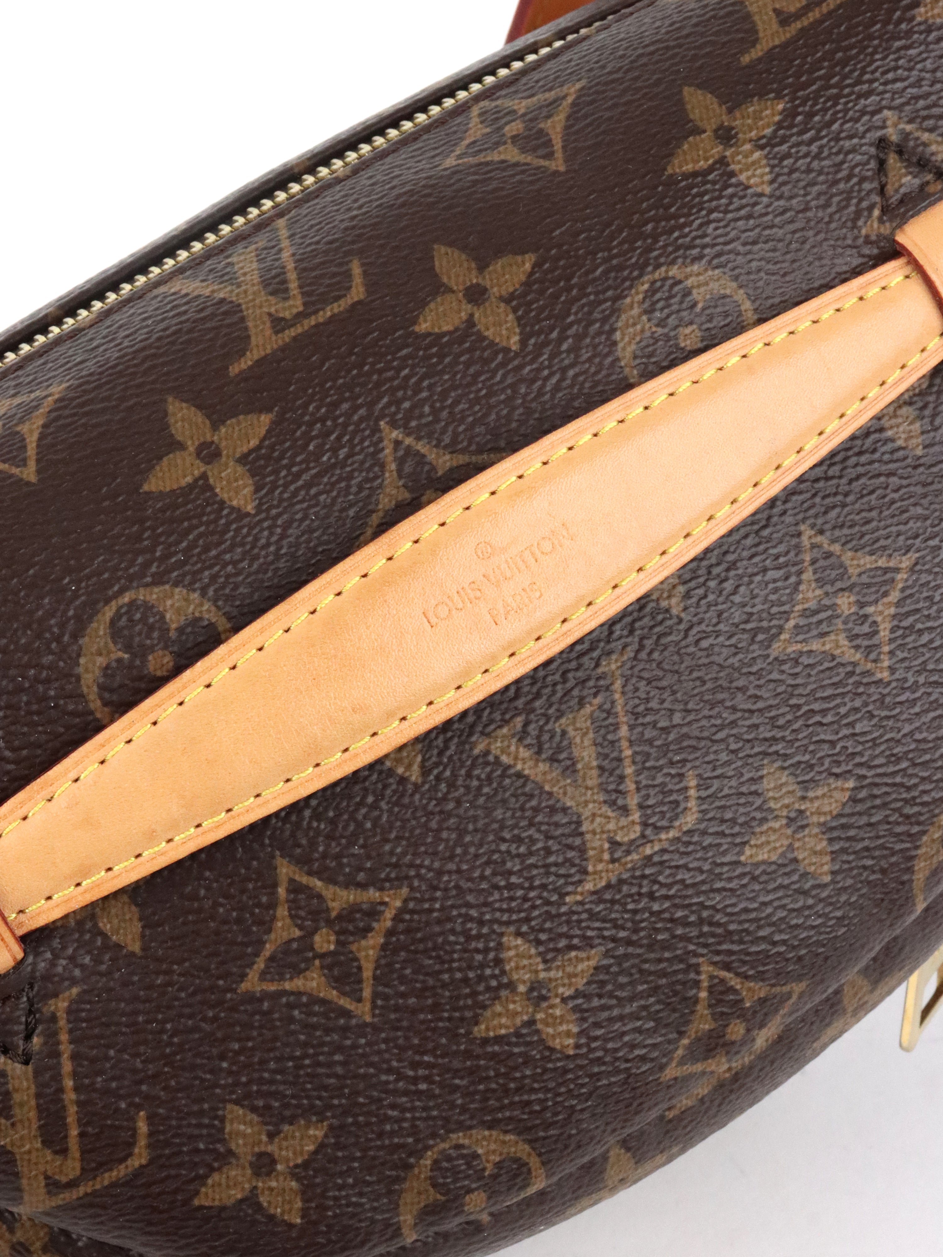 Louis Vuitton Monogram Bumbag