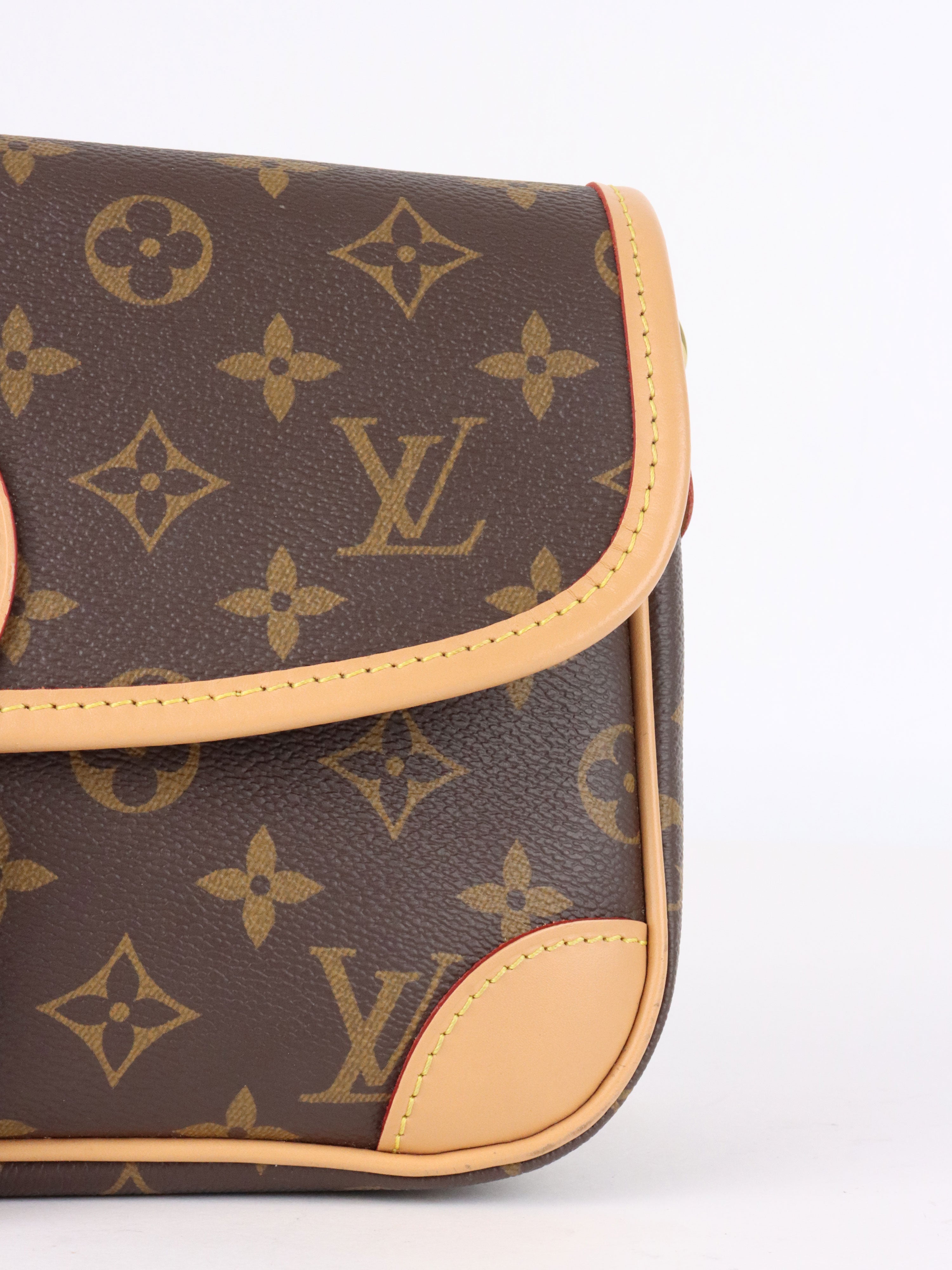 Louis Vuitton Monogram Diane Bag