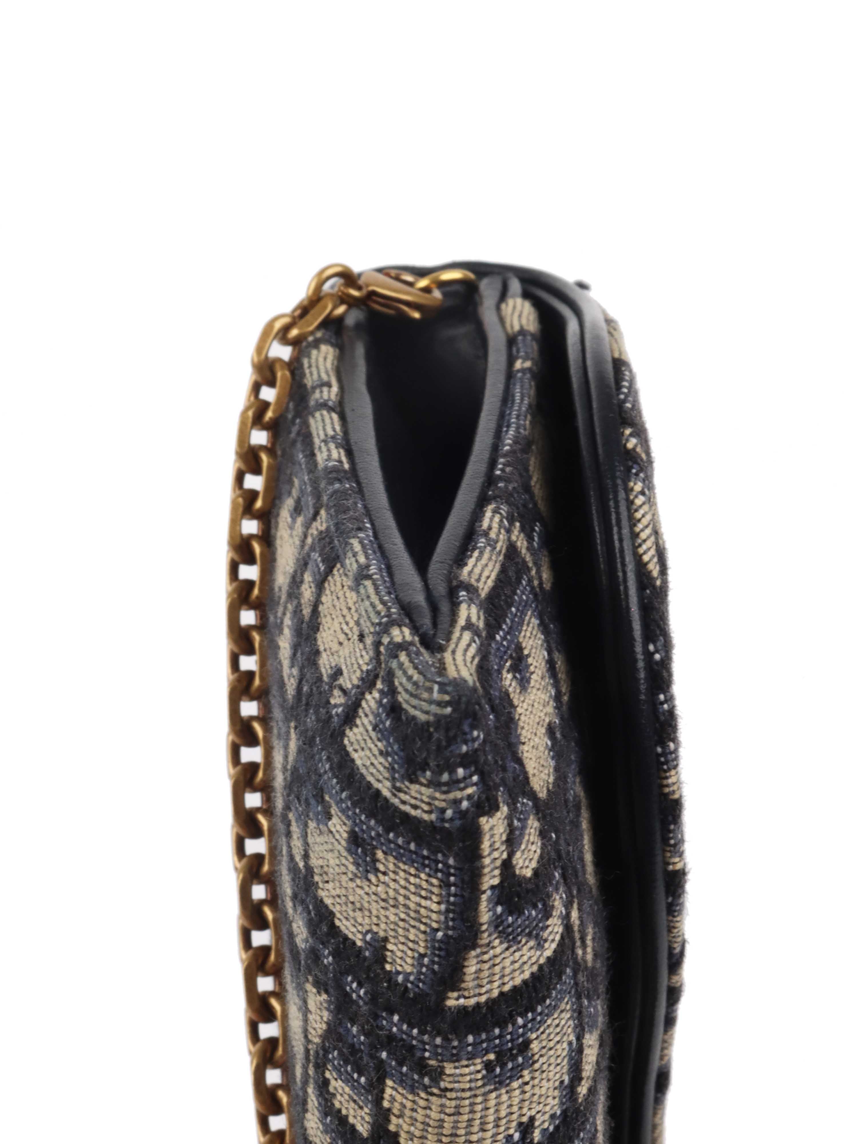 Dior Long Saddle Wallet on Chain