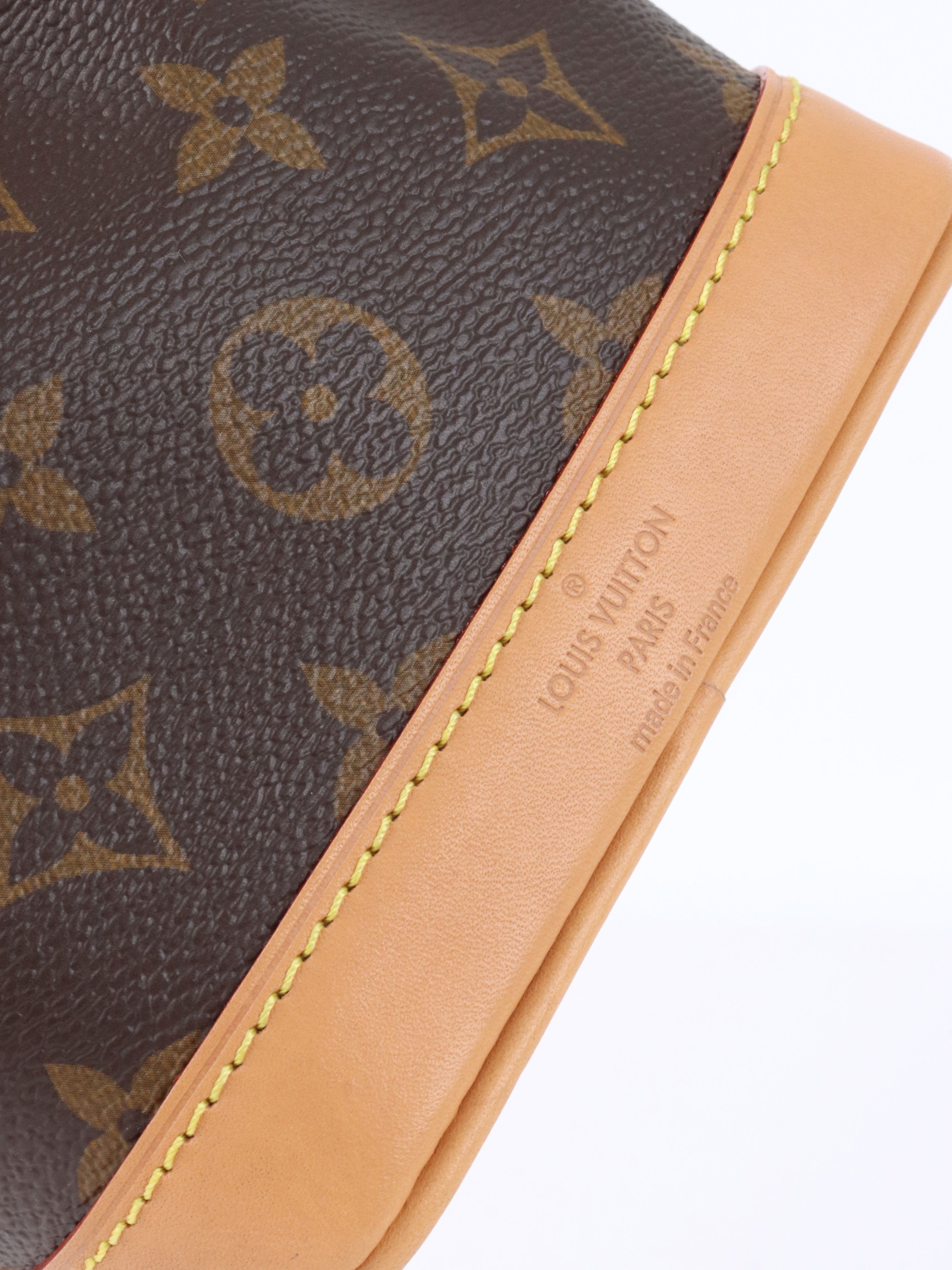 Louis Vuitton Monogram Nano Noé Bag.