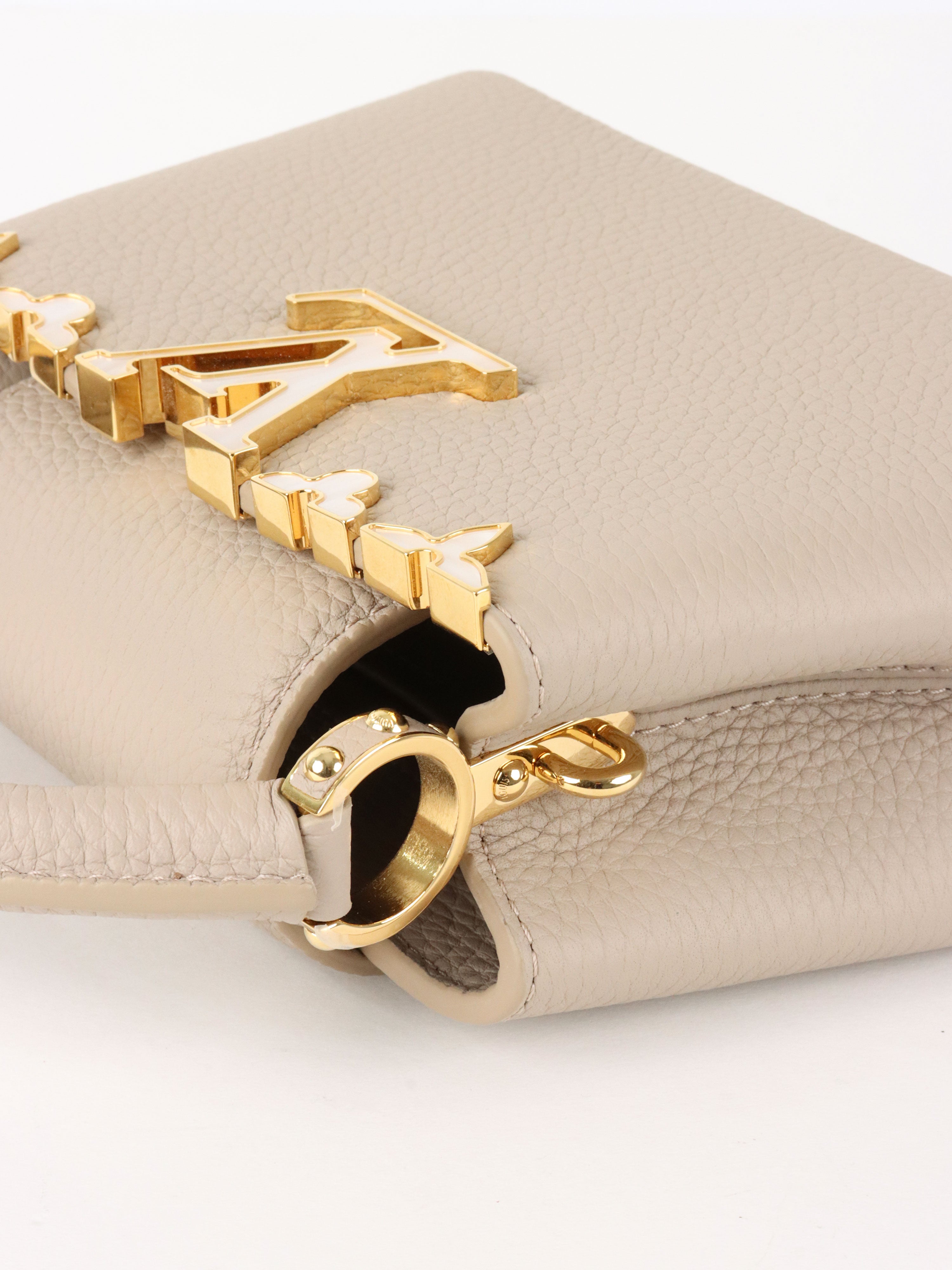 Louis Vuitton Galet Mini Capucines