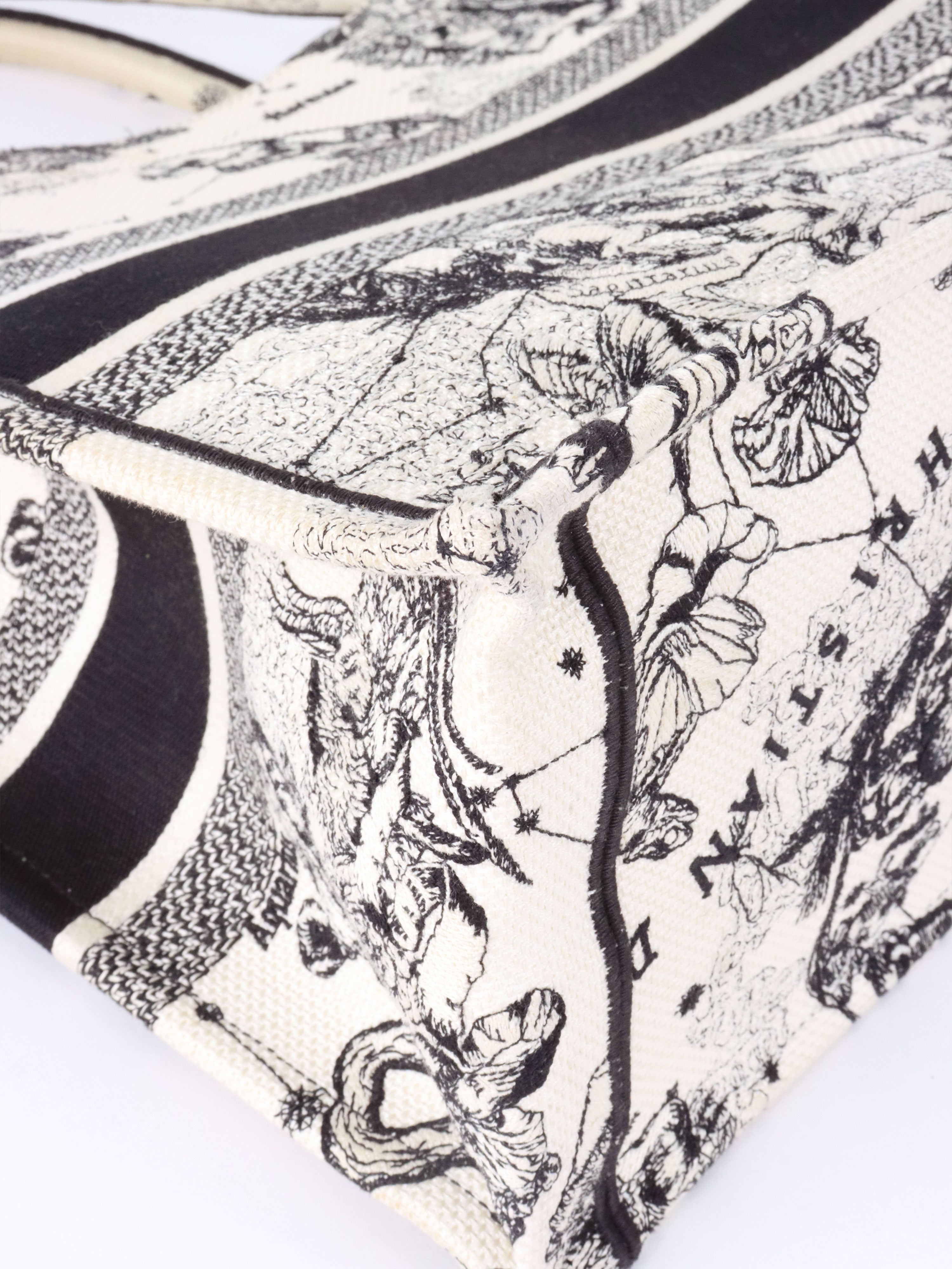 Dior Latte and Black Zodiac Medium Book Tote