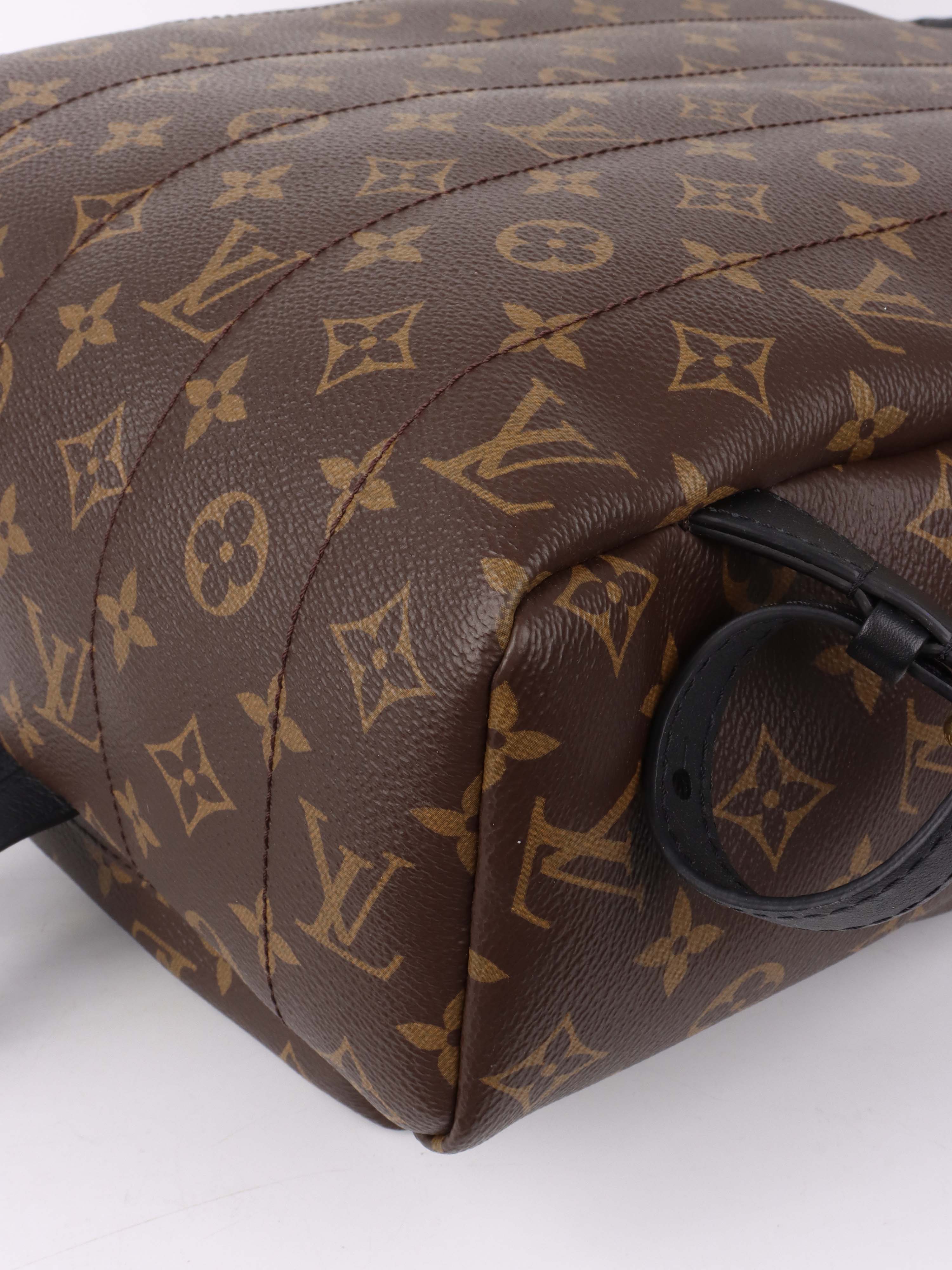 Louis Vuitton Palm Spring MM Backpack.