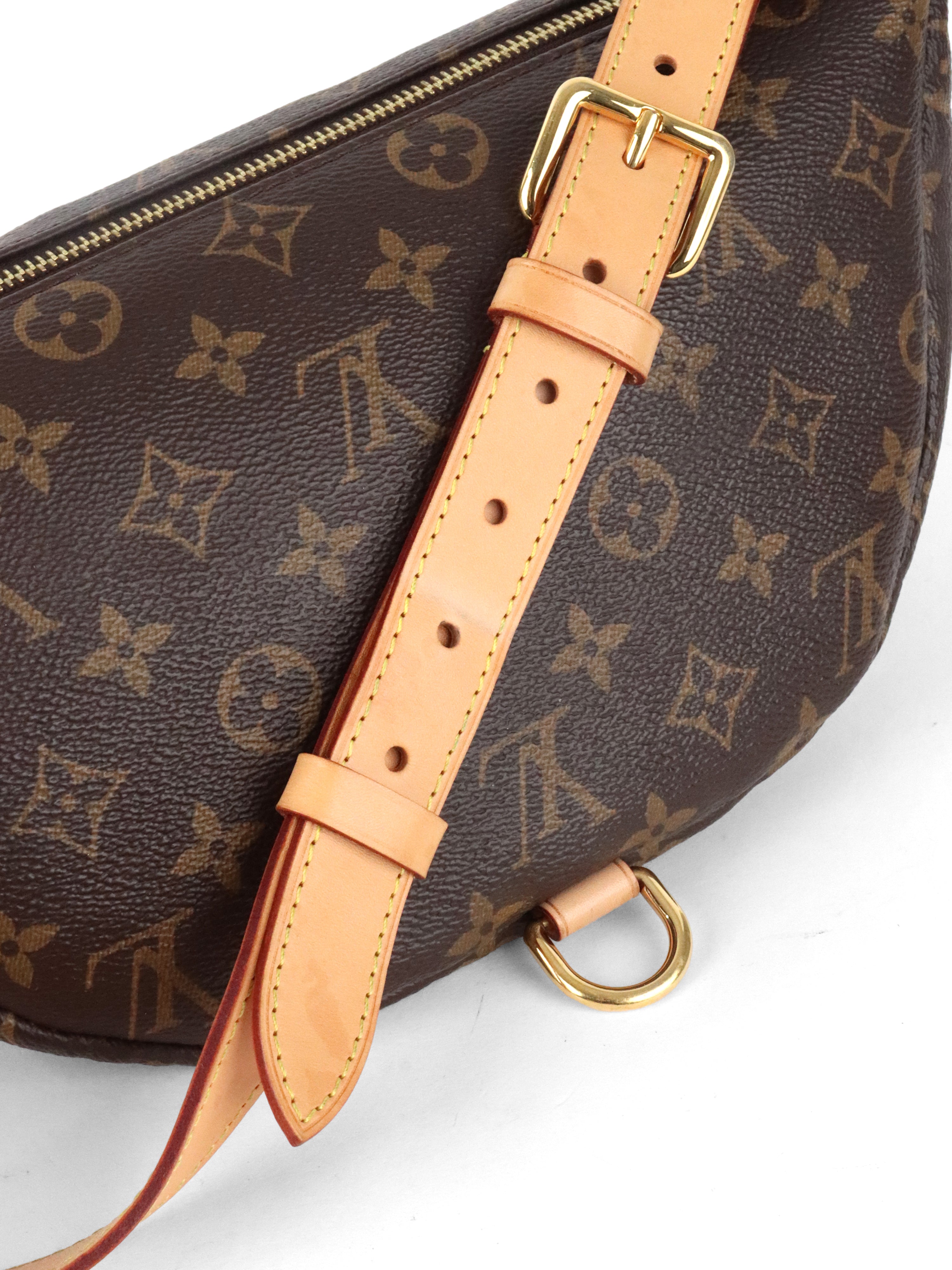 Louis Vuitton Monogram Bumbag