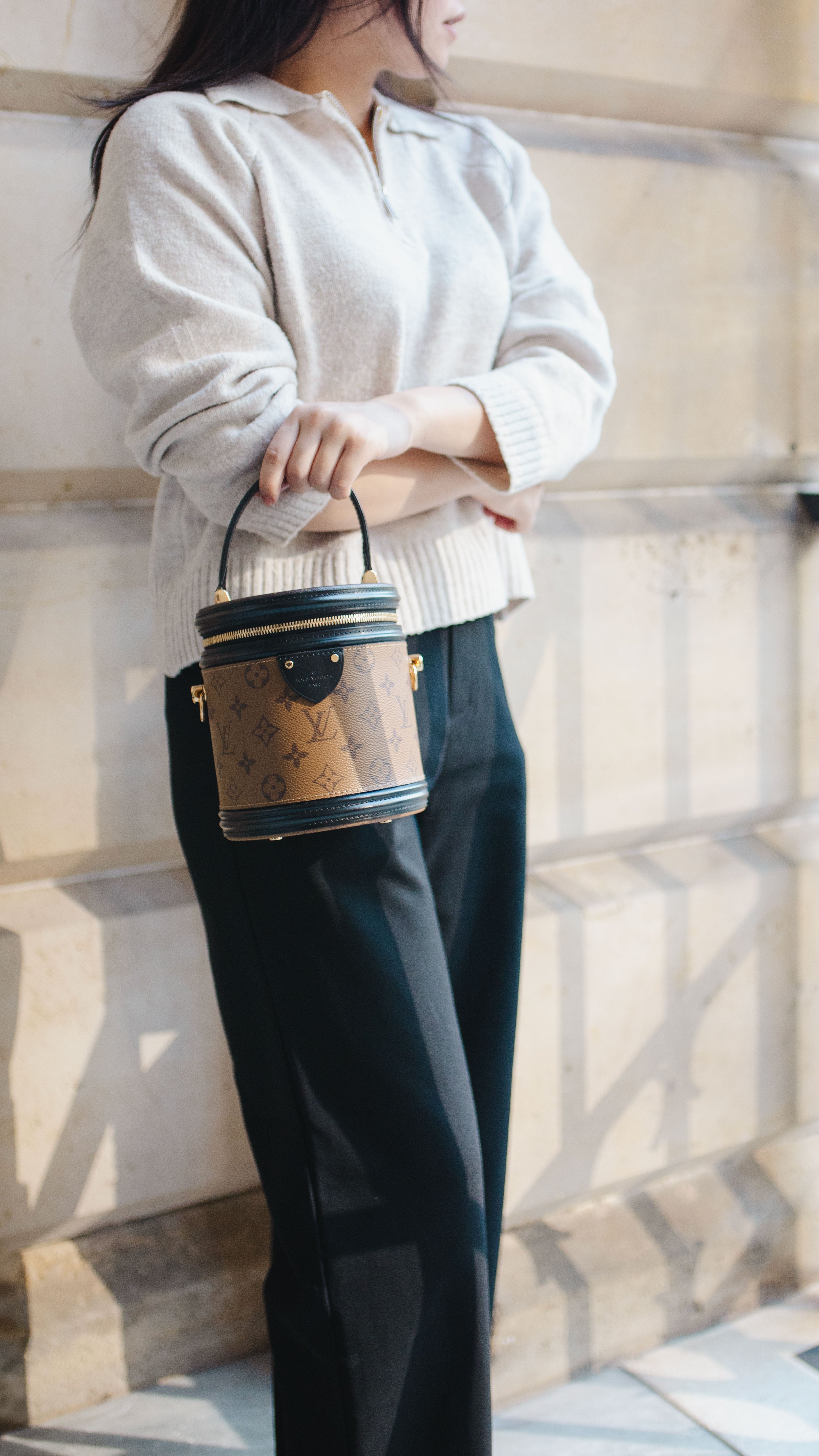 Louis Vuitton Monogram Reverse Cannes Bag