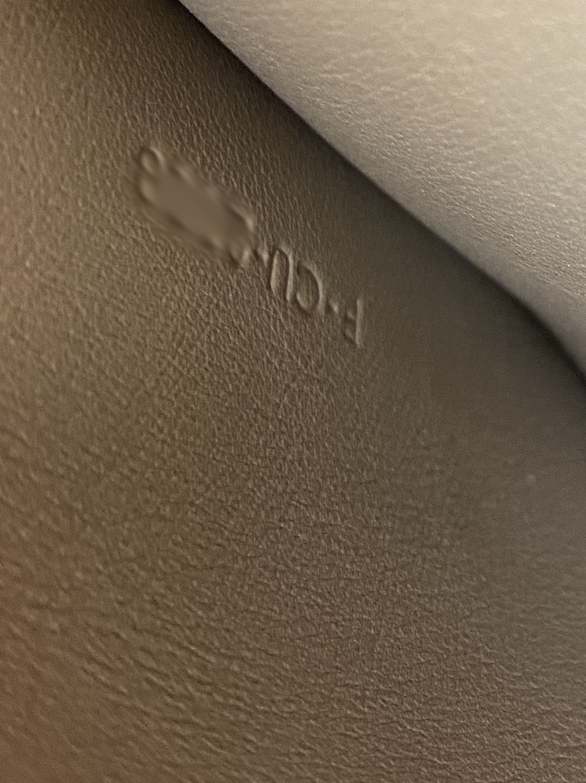 Celine Tan & Optic White Medium Frame Bag