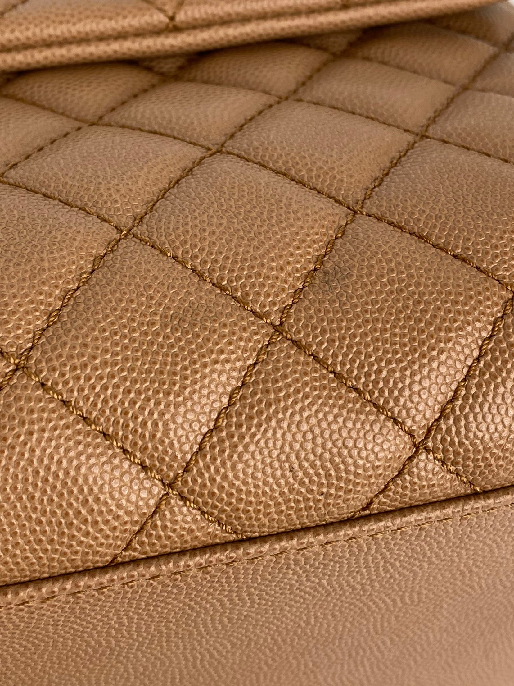 Chanel Large Beige Coco Lizard Handle Bag